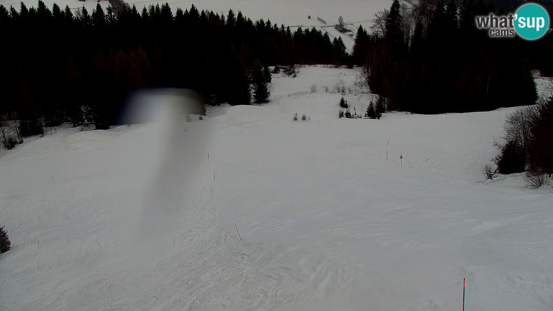 Kranjska Gora kamera VITRANC 1 | Zgornja postaja