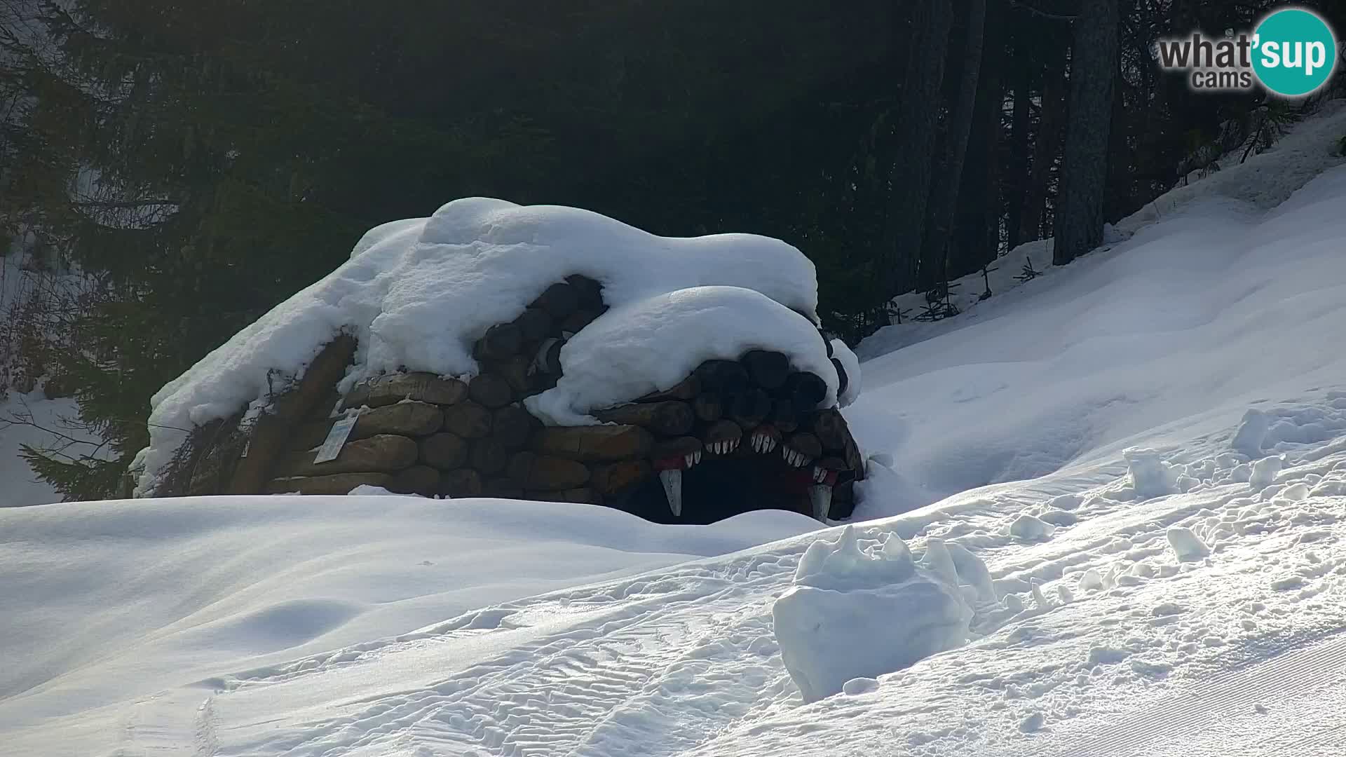 Vitranc Kranjska Gora webcam | VITRANC 1 stazione superiore