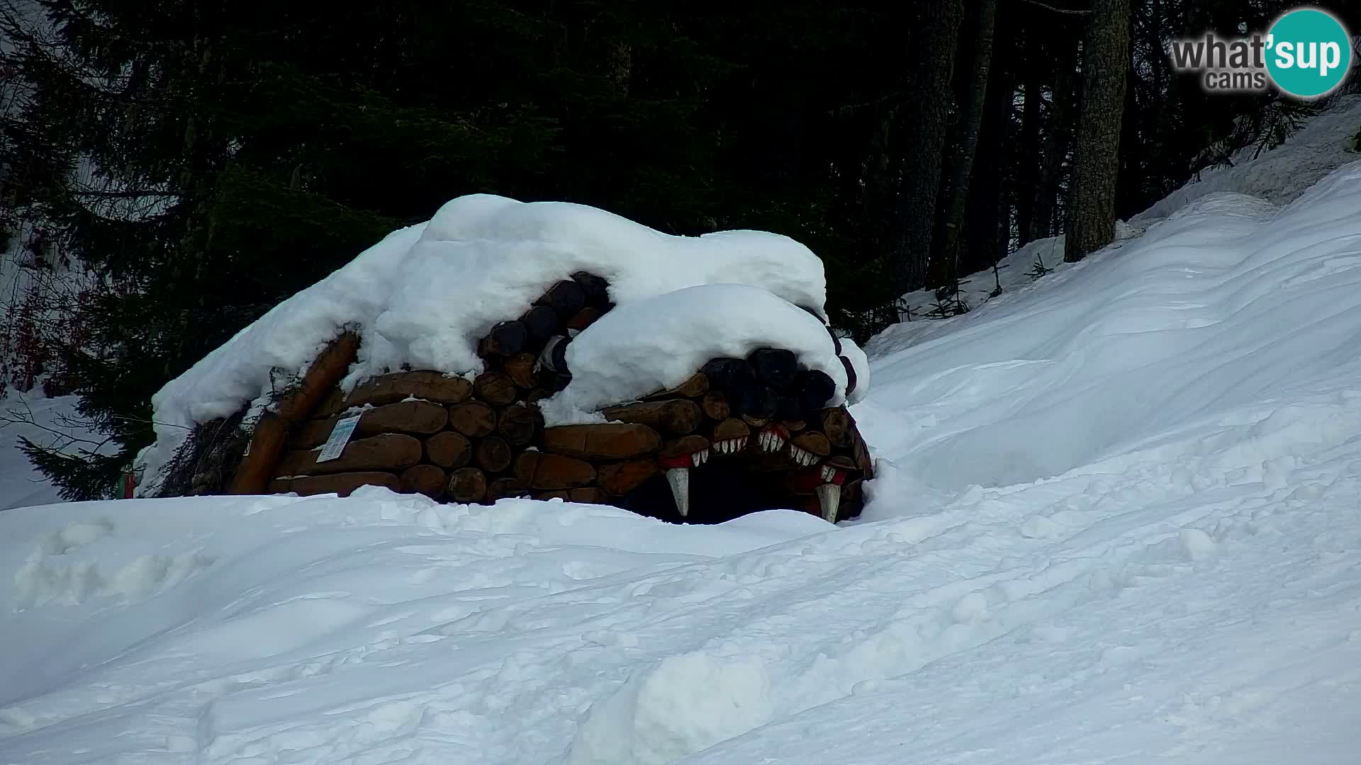 Estación de esquí Kranjska Gora | Estación superior VITRANC 1