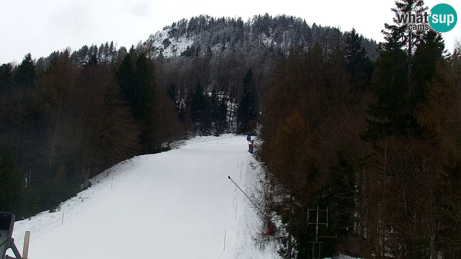 Kranjska Gora web kamera Vitranc | VITRANC 1 gornja postaja