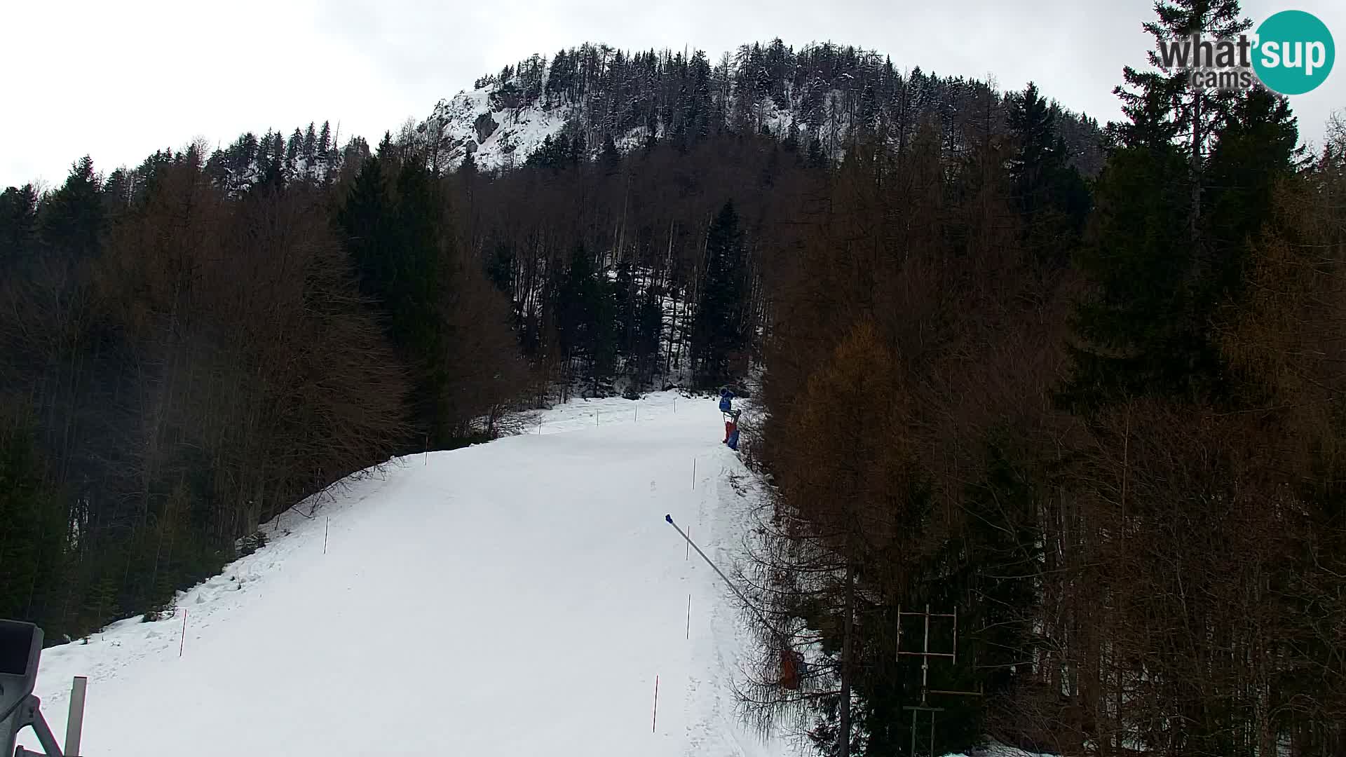 Kranjska Gora kamera VITRANC 1 | Zgornja postaja