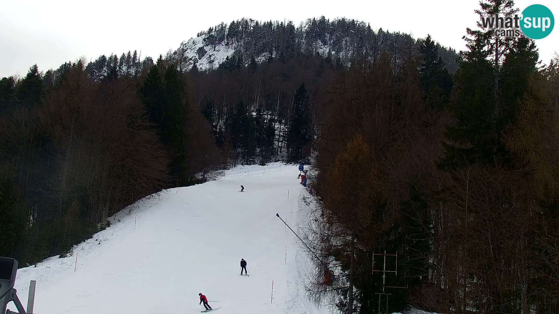 Kranjska Gora webcam VITRANC 1 | obere Station