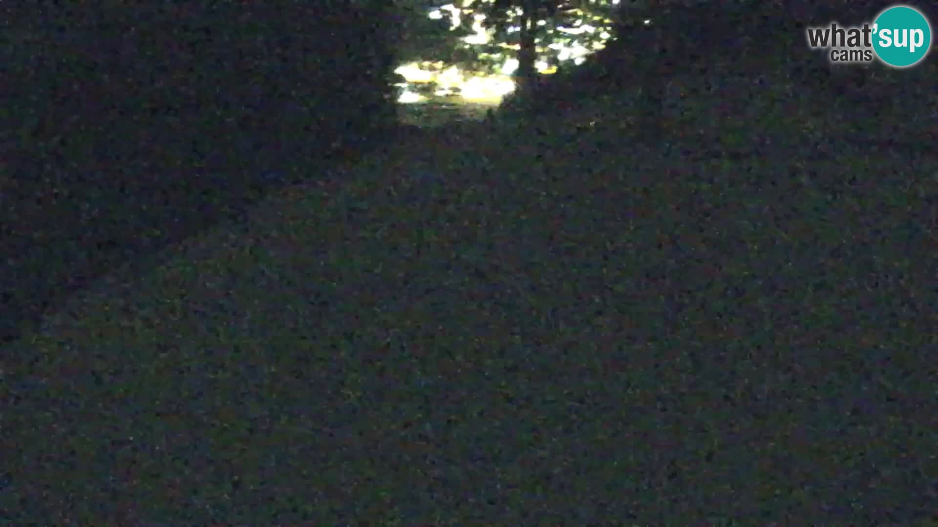 Vitranc Kranjska Gora webcam | VITRANC 1 stazione superiore