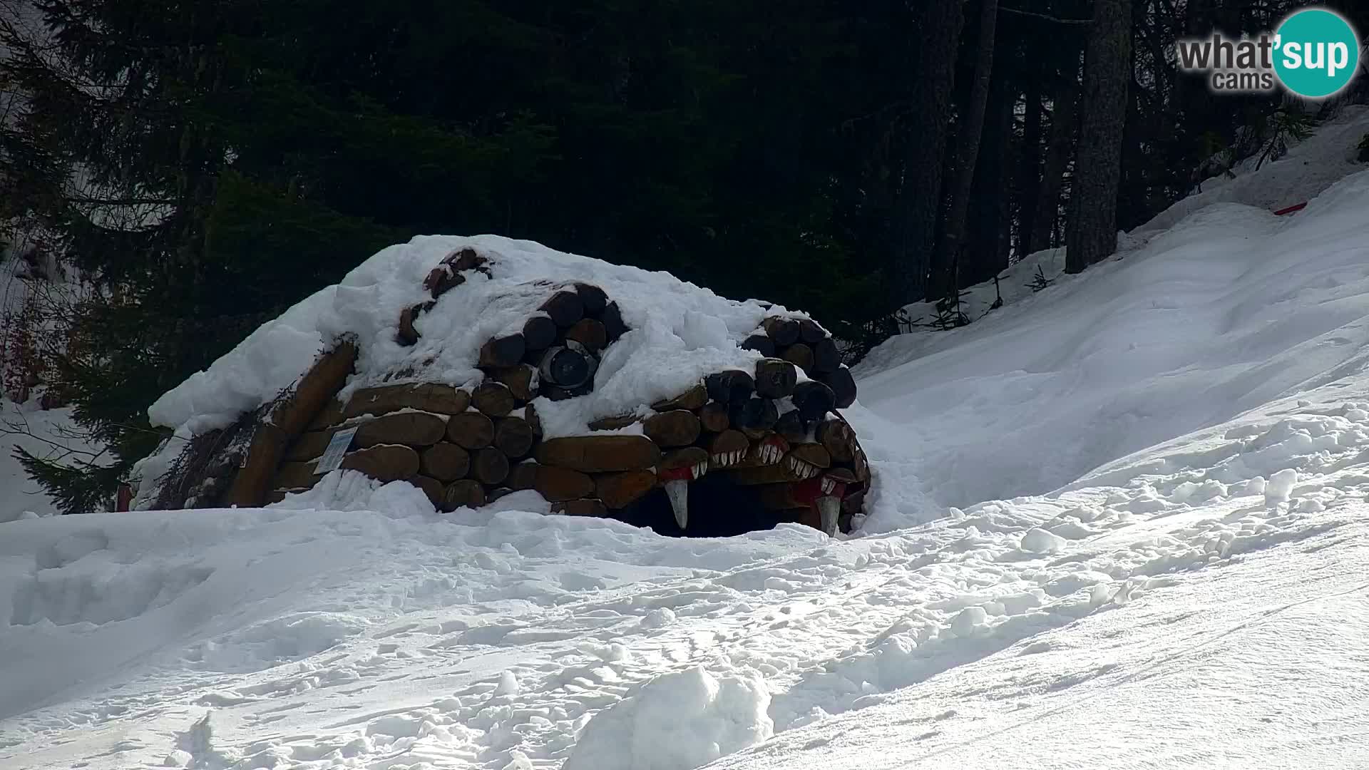 Estación de esquí Kranjska Gora | Estación superior VITRANC 1