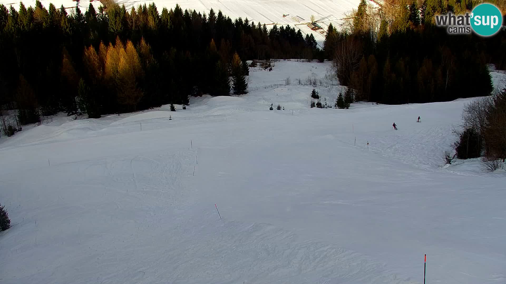 Kranjska Gora livecam VITRANC 1 | estación superior