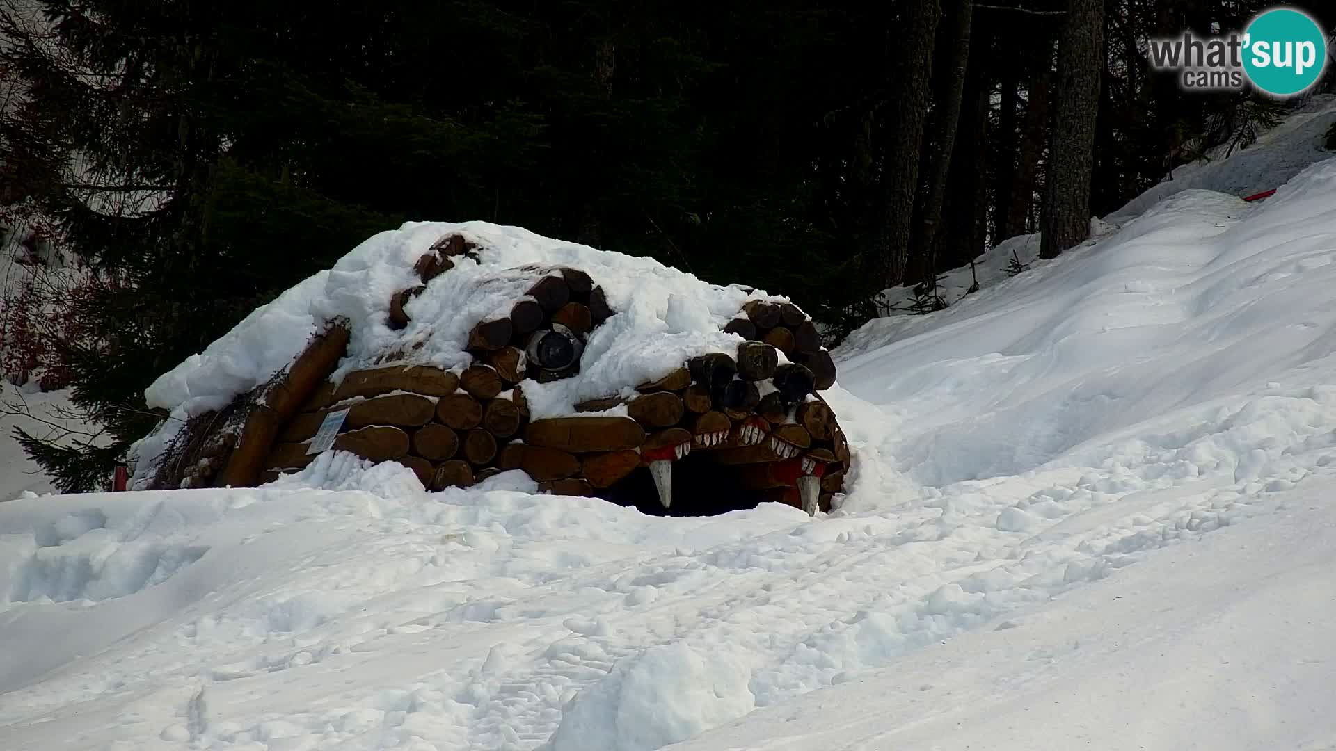Estación de esquí Kranjska Gora | Estación superior VITRANC 1