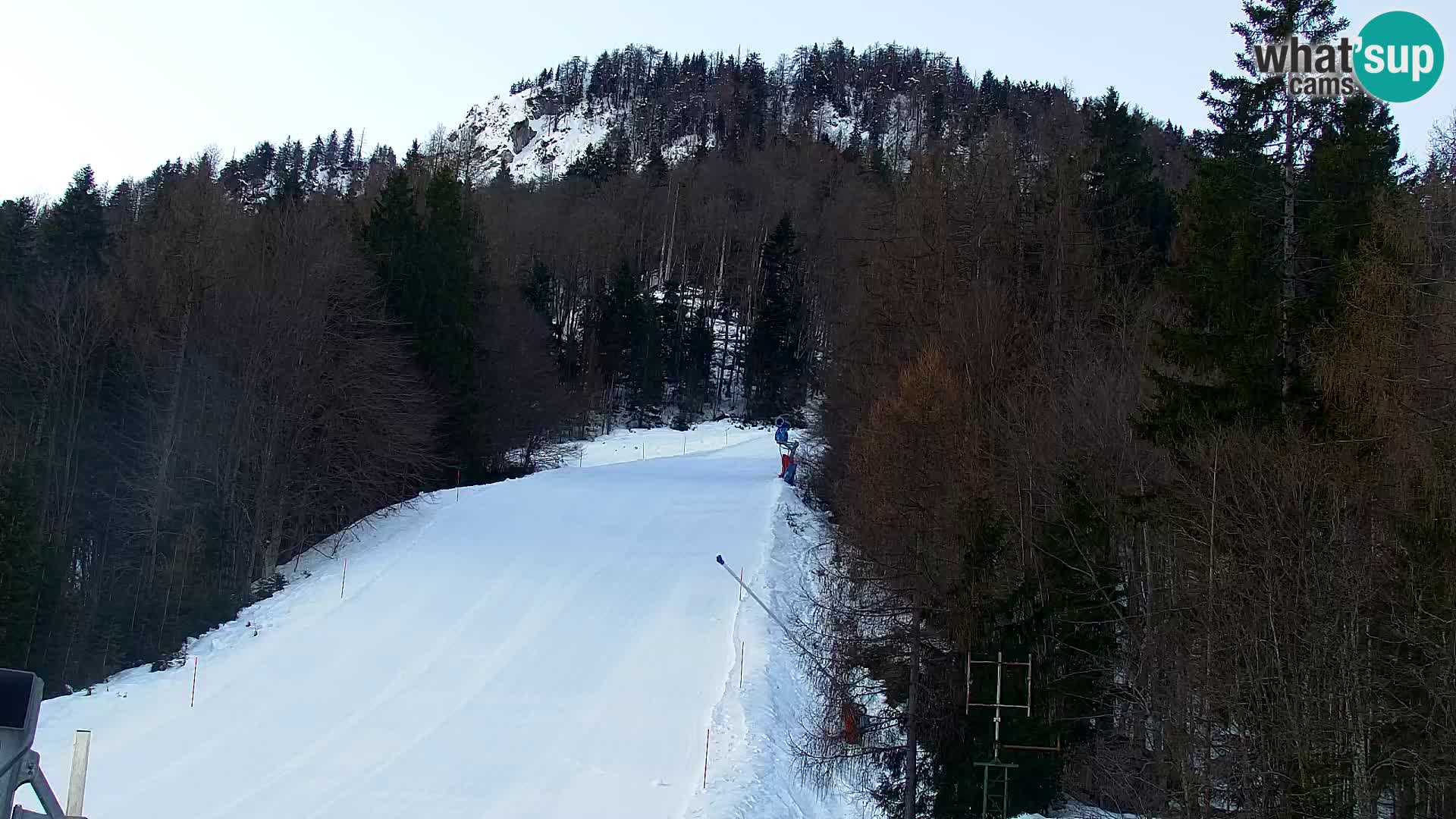 Vitranc Kranjska Gora webcam | VITRANC 1 stazione superiore
