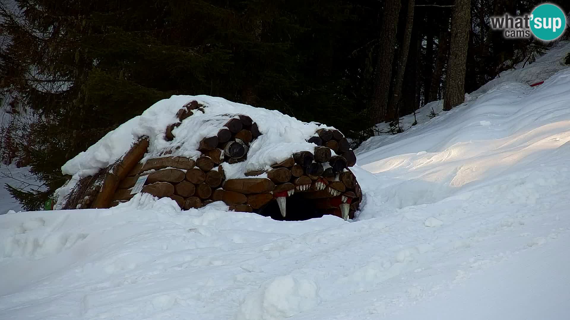 Kranjska Gora kamera VITRANC 1 | Zgornja postaja