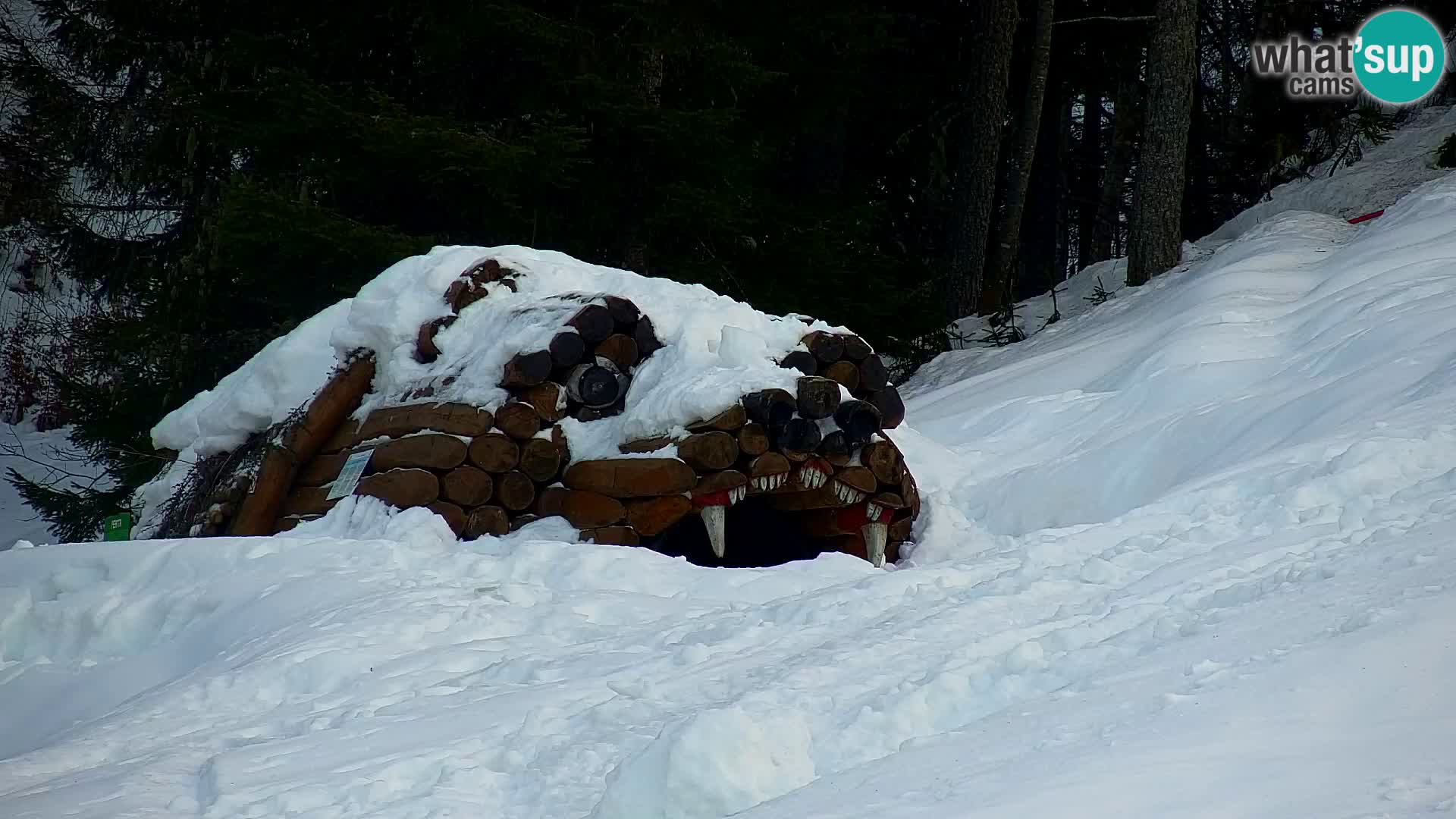 Ski Resort Kranjska Gora | VITRANC 1 upper station