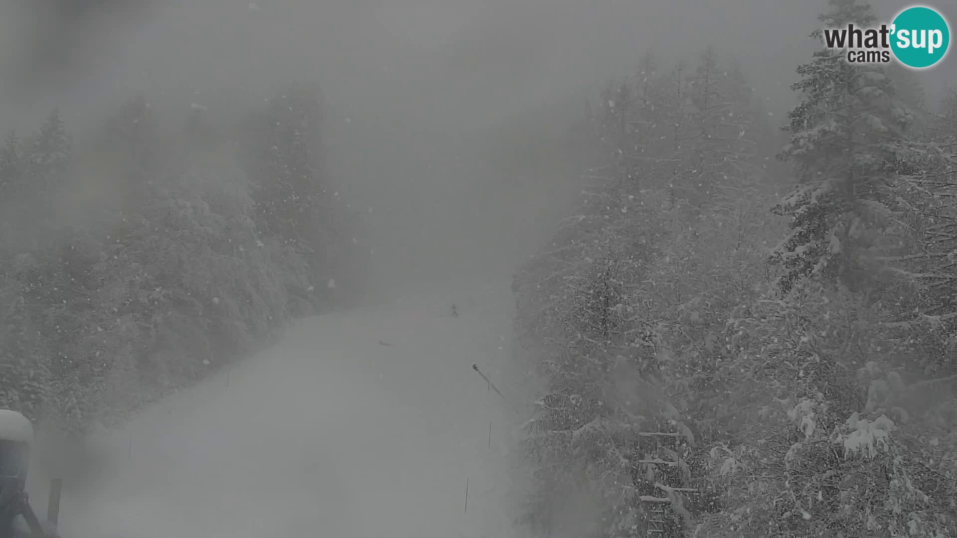 Kranjska Gora livecam VITRANC 1 | estación superior