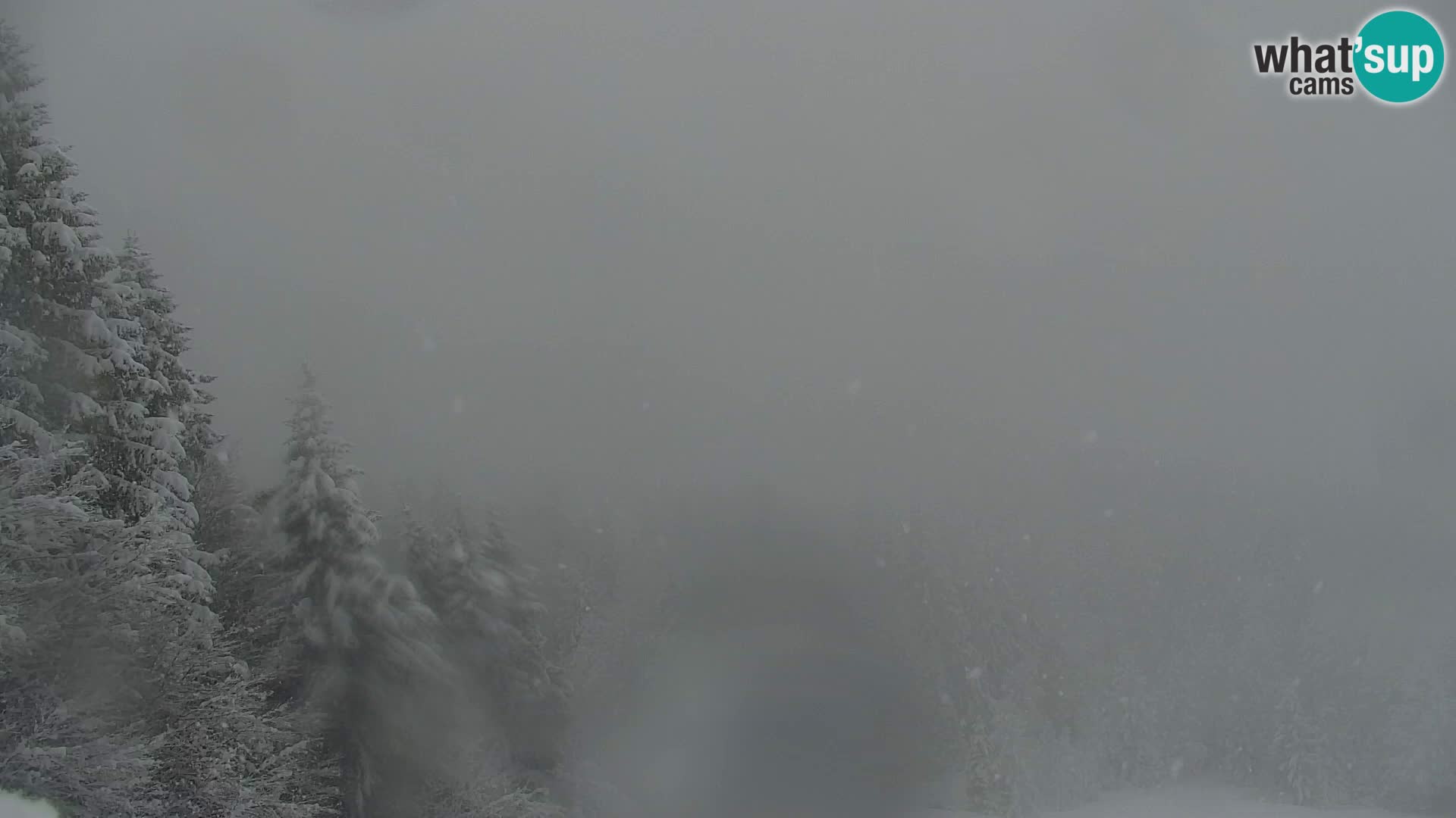 Kranjska Gora livecam VITRANC 1 | estación superior