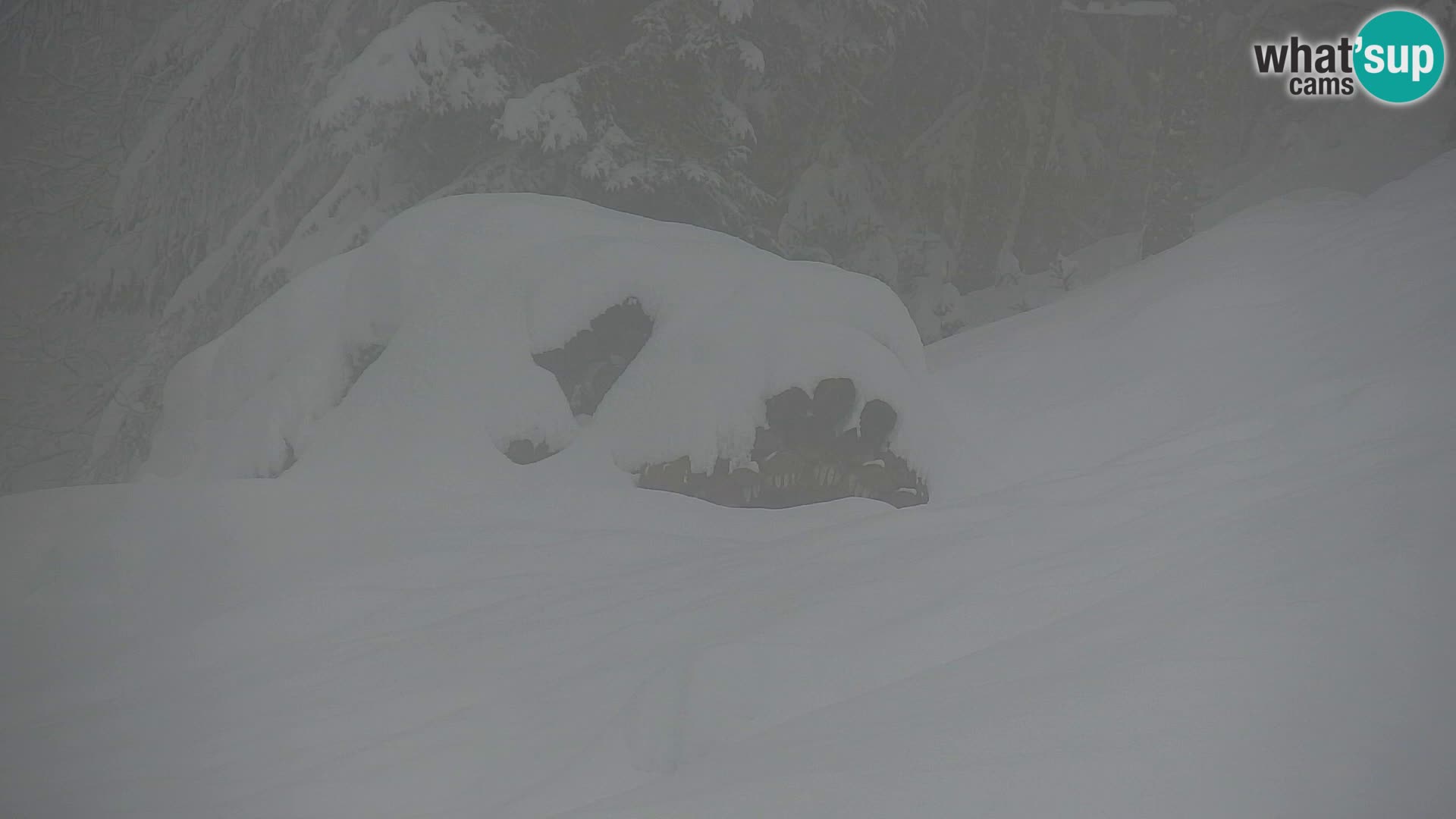 Kranjska Gora webcam VITRANC 1 | obere Station