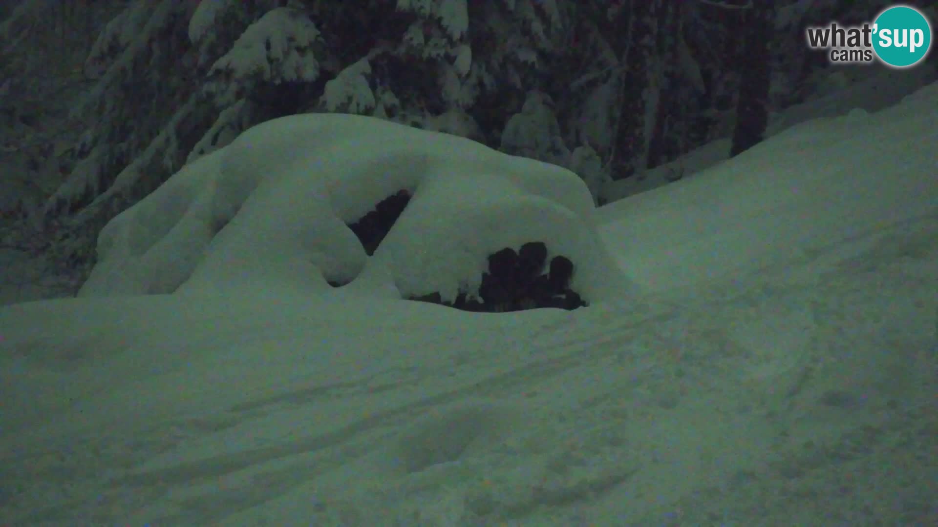 Estación de esquí Kranjska Gora | Estación superior VITRANC 1