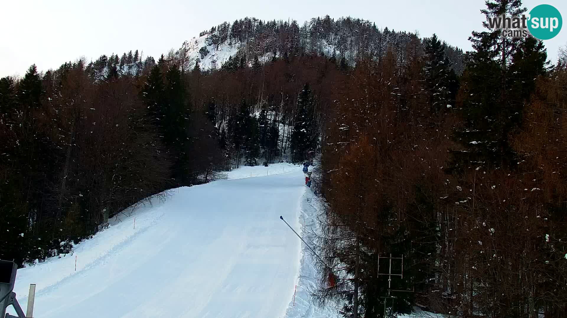 Kranjska Gora webcam VITRANC 1 | obere Station