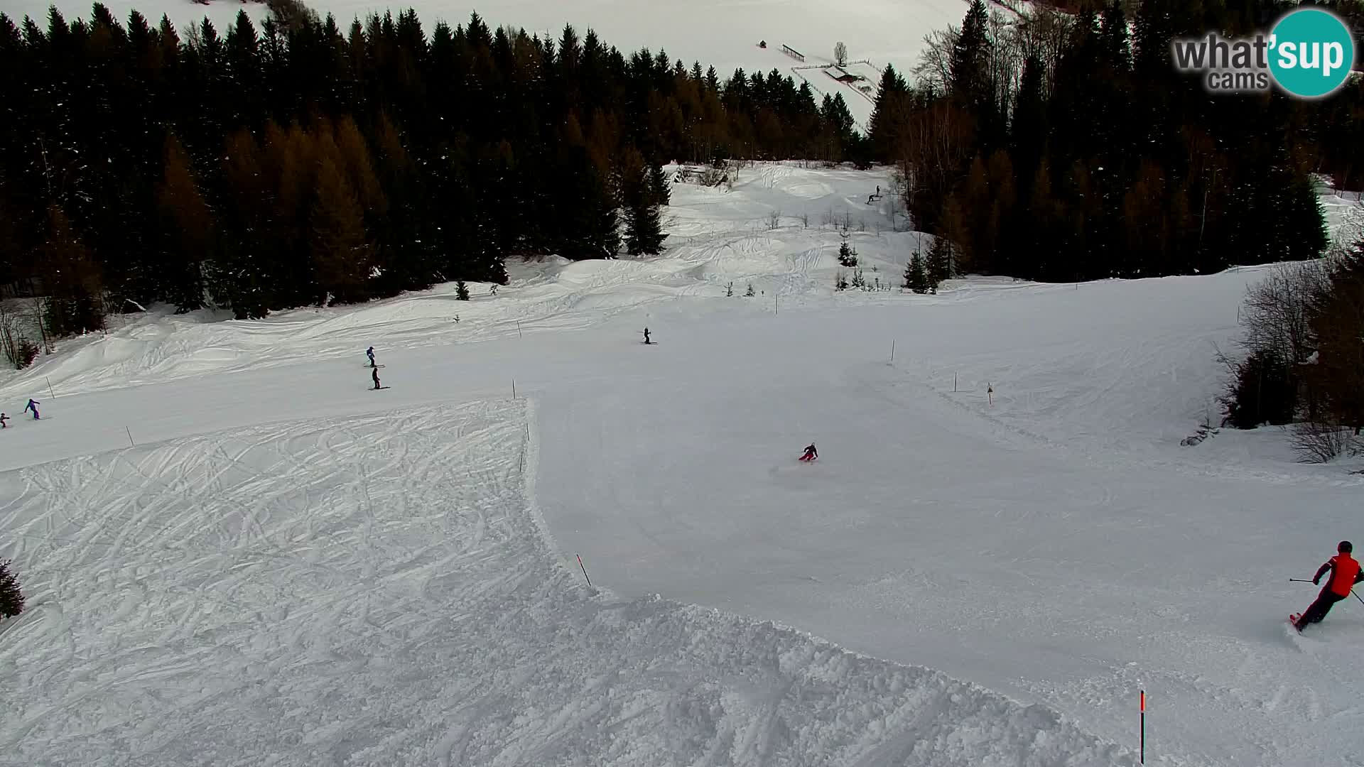 Vitranc Kranjska Gora webcam | VITRANC 1 stazione superiore