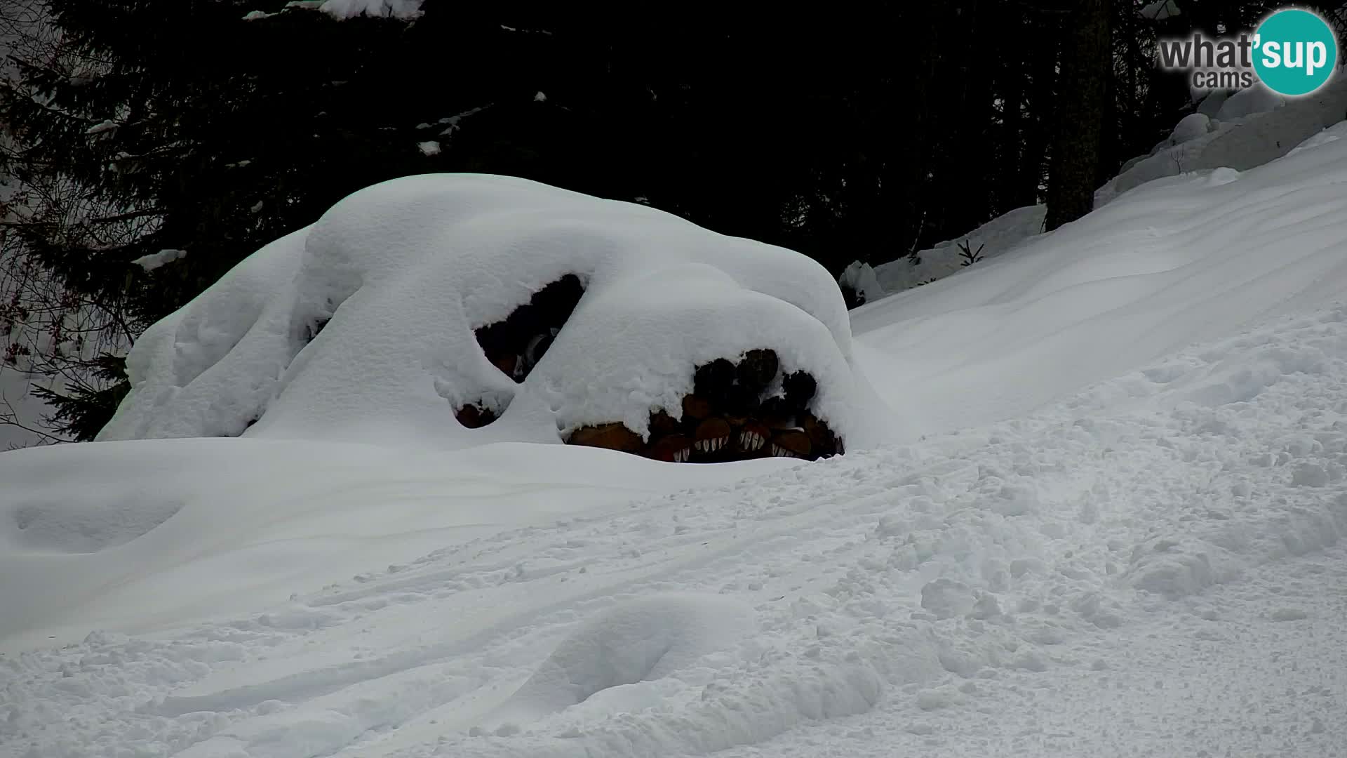 Kranjska Gora webcam VITRANC 1 | obere Station