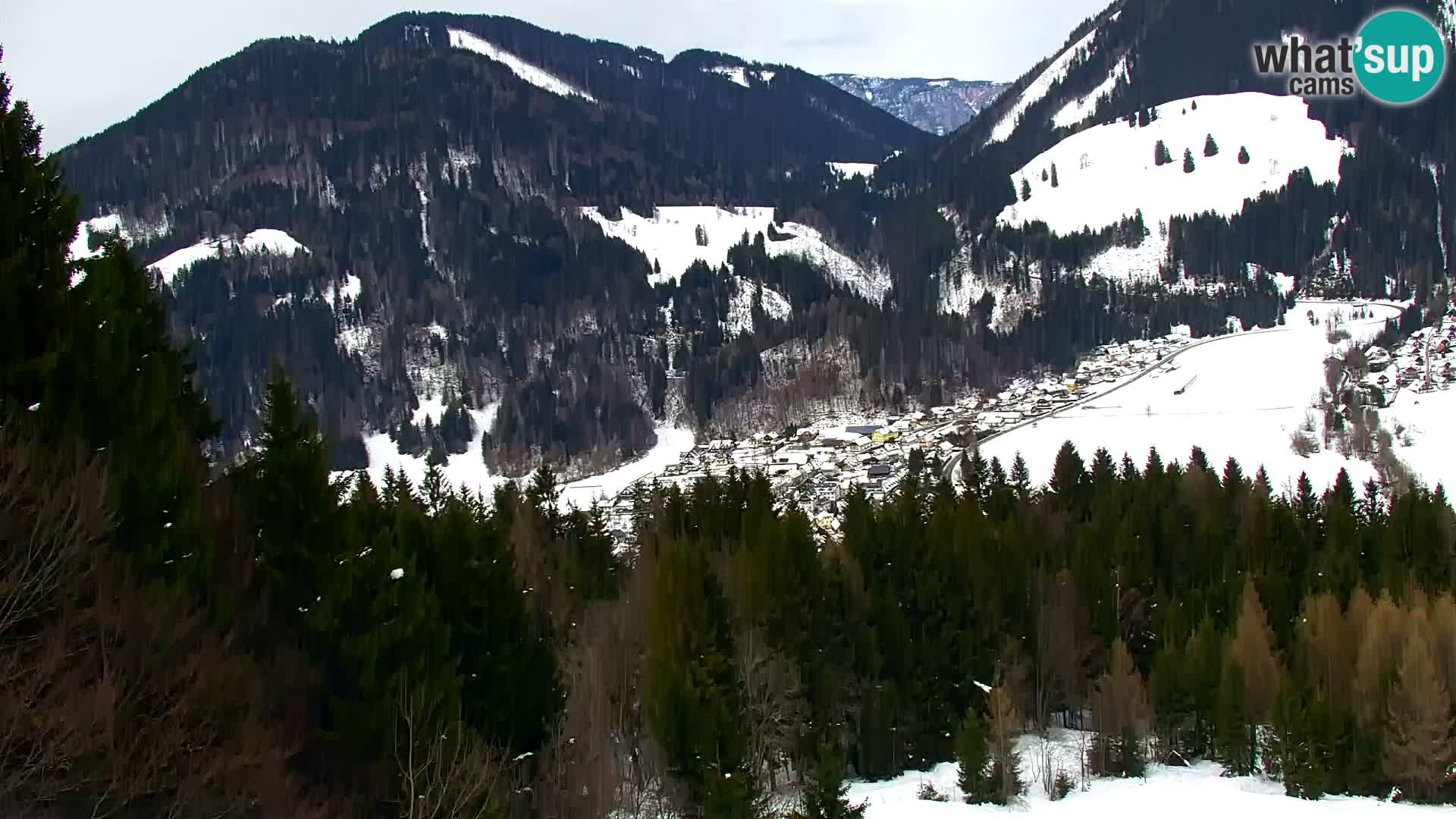 Kranjska Gora livecam VITRANC 1 | estación superior