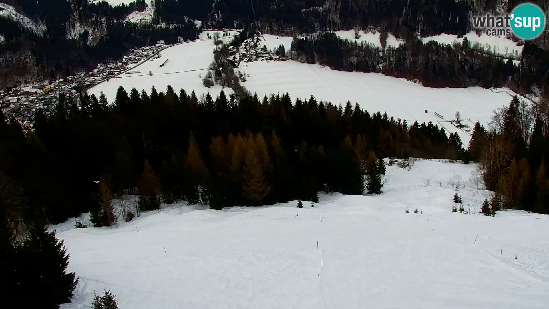 Vitranc Kranjska Gora webcam | VITRANC 1 stazione superiore