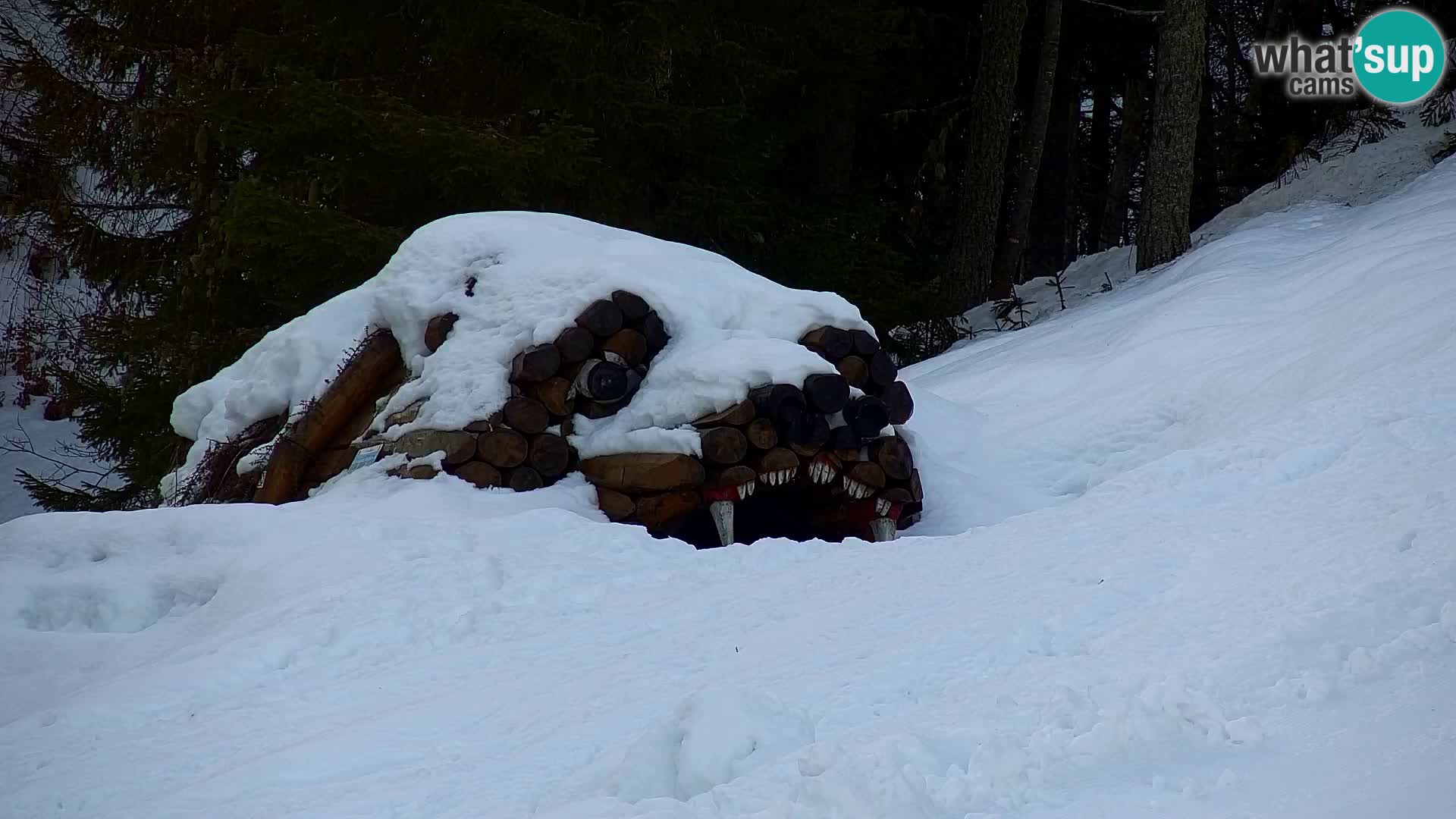 Kranjska Gora webcam VITRANC 1 | obere Station