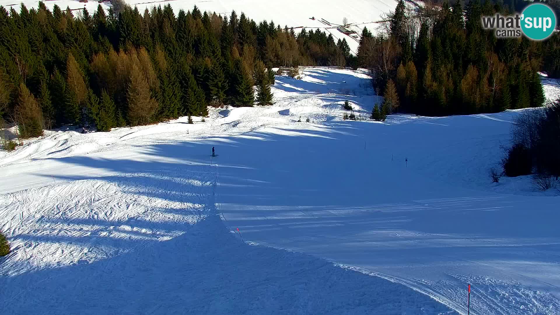 Vitranc Kranjska Gora webcam | VITRANC 1 stazione superiore