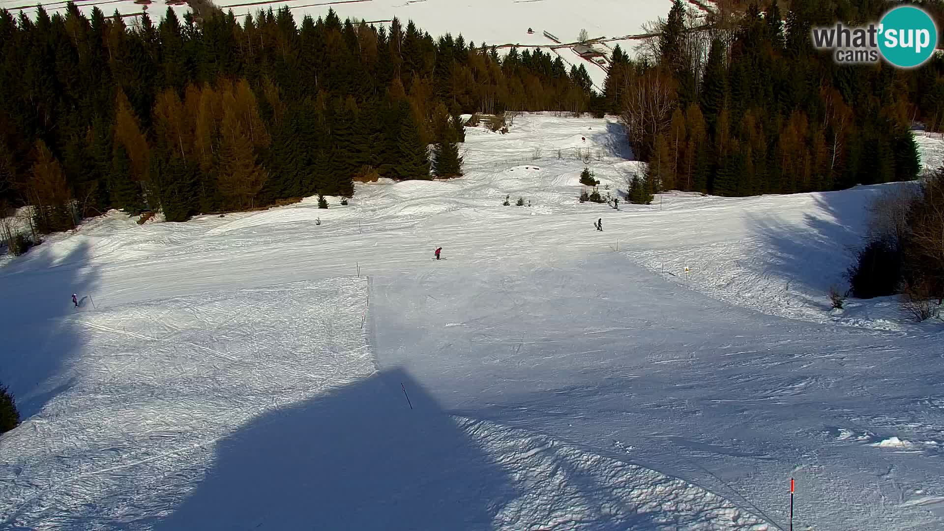 Kranjska Gora web kamera Vitranc | VITRANC 1 gornja postaja