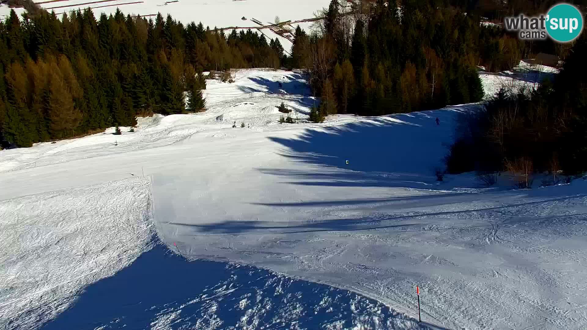 Vitranc Kranjska Gora webcam | VITRANC 1 stazione superiore