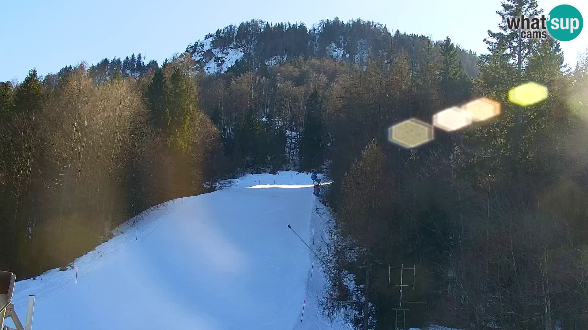 Vitranc Kranjska Gora webcam | VITRANC 1 stazione superiore