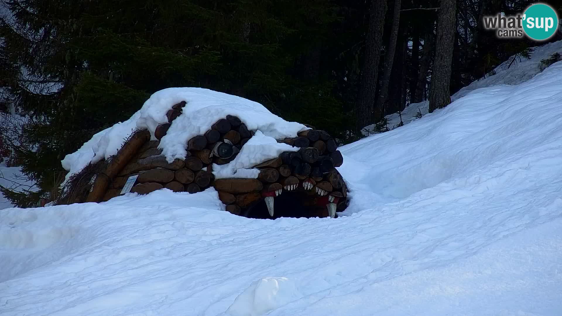 Kranjska Gora livecam VITRANC 1 | estación superior