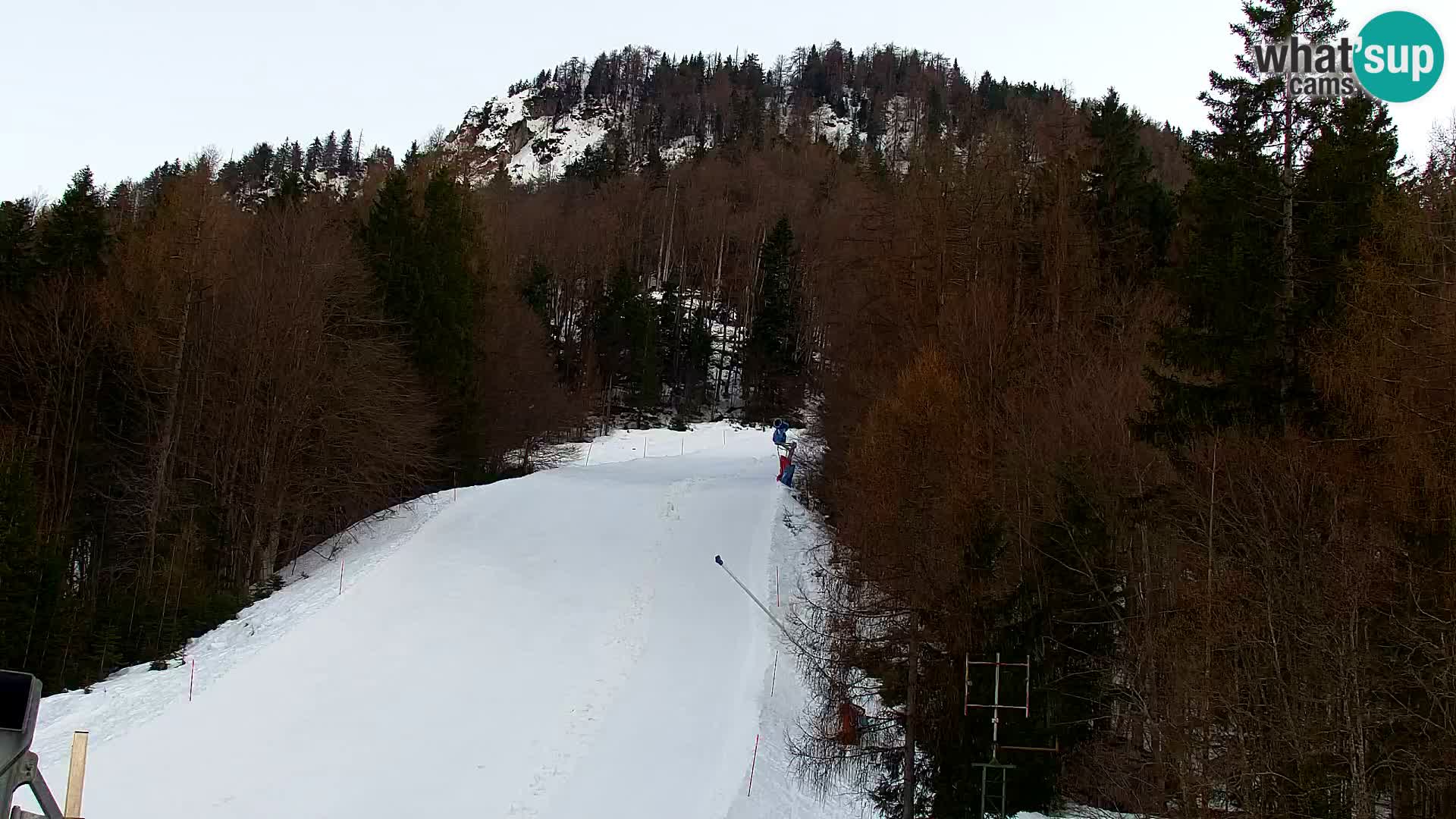 Kranjska Gora web kamera Vitranc | VITRANC 1 gornja postaja
