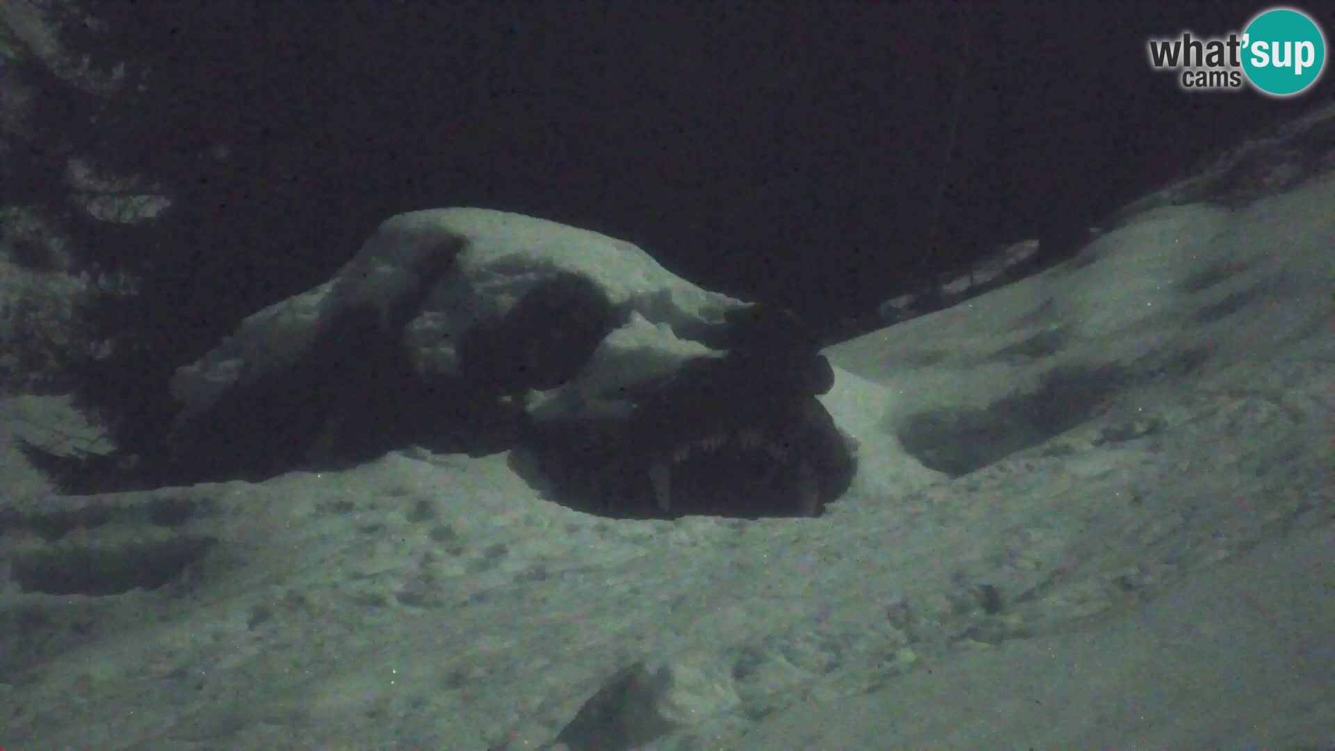 Kranjska Gora webcam VITRANC 1 | obere Station