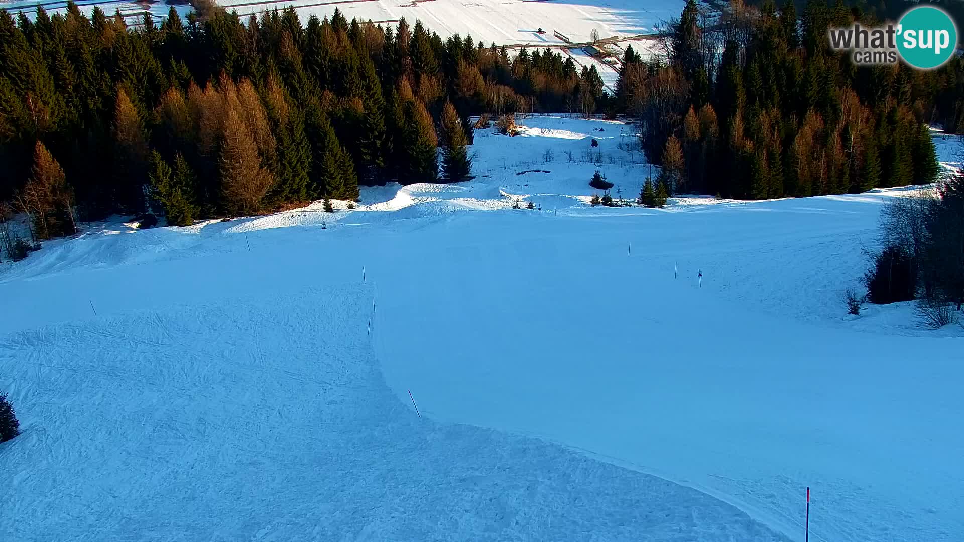 Kranjska Gora web kamera Vitranc | VITRANC 1 gornja postaja
