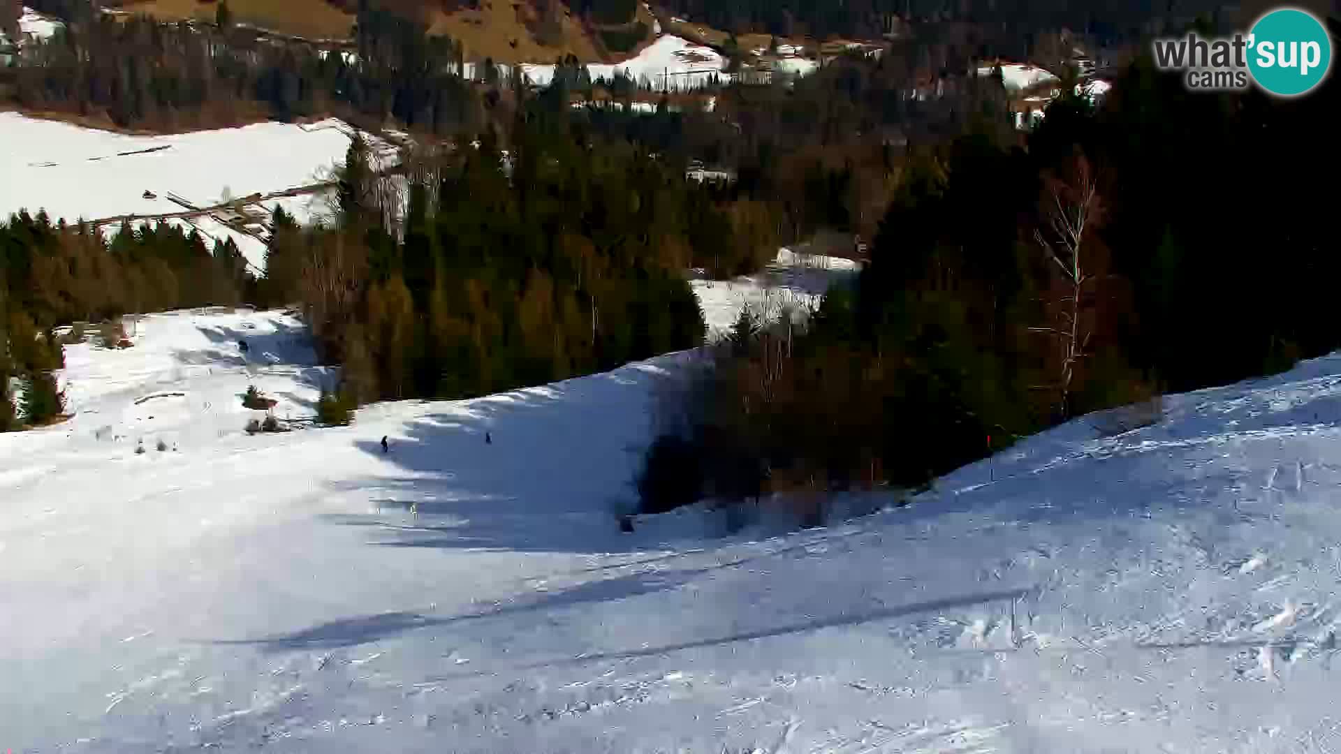 Kranjska Gora web kamera Vitranc | VITRANC 1 gornja postaja