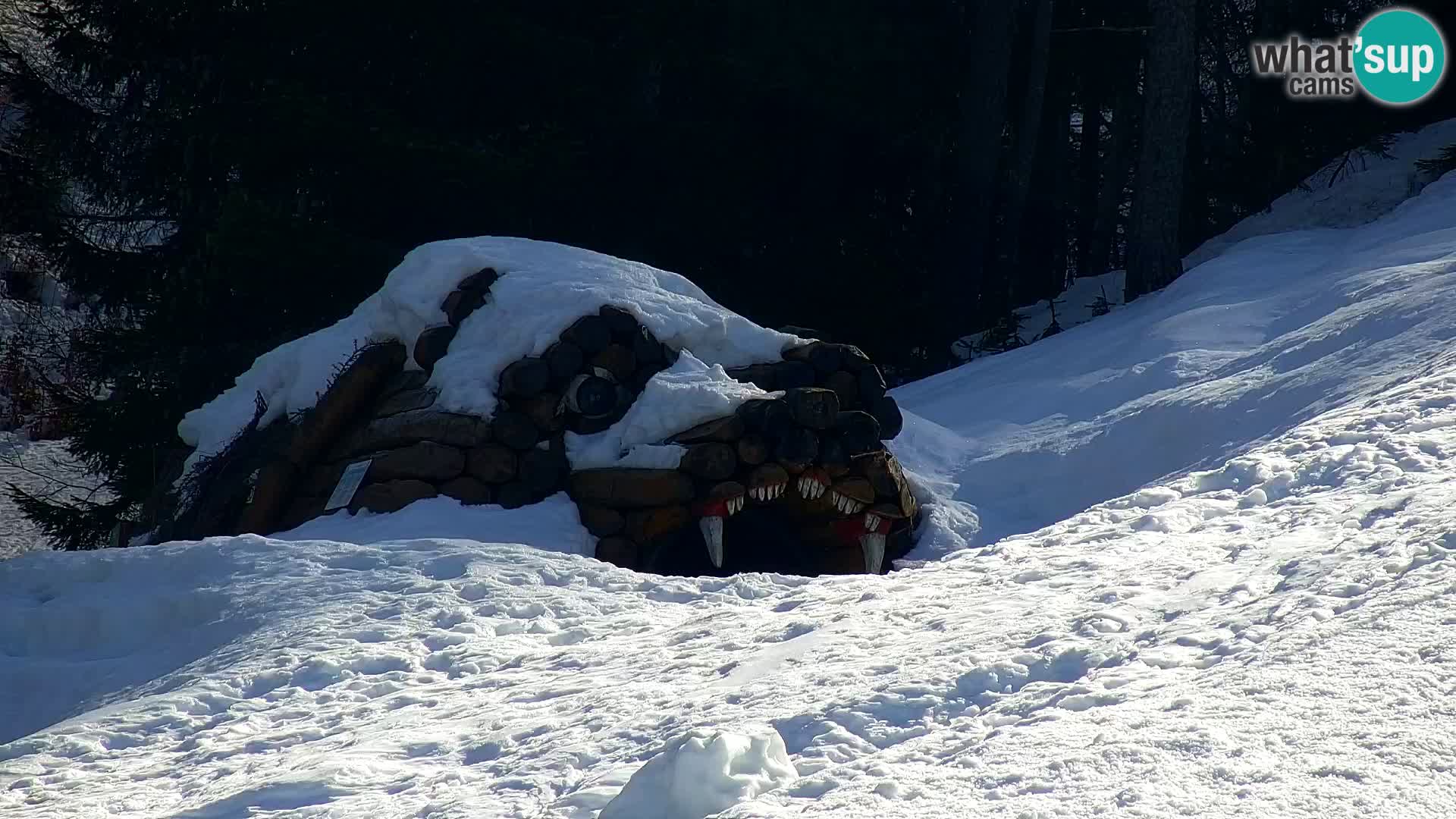 Estación de esquí Kranjska Gora | Estación superior VITRANC 1