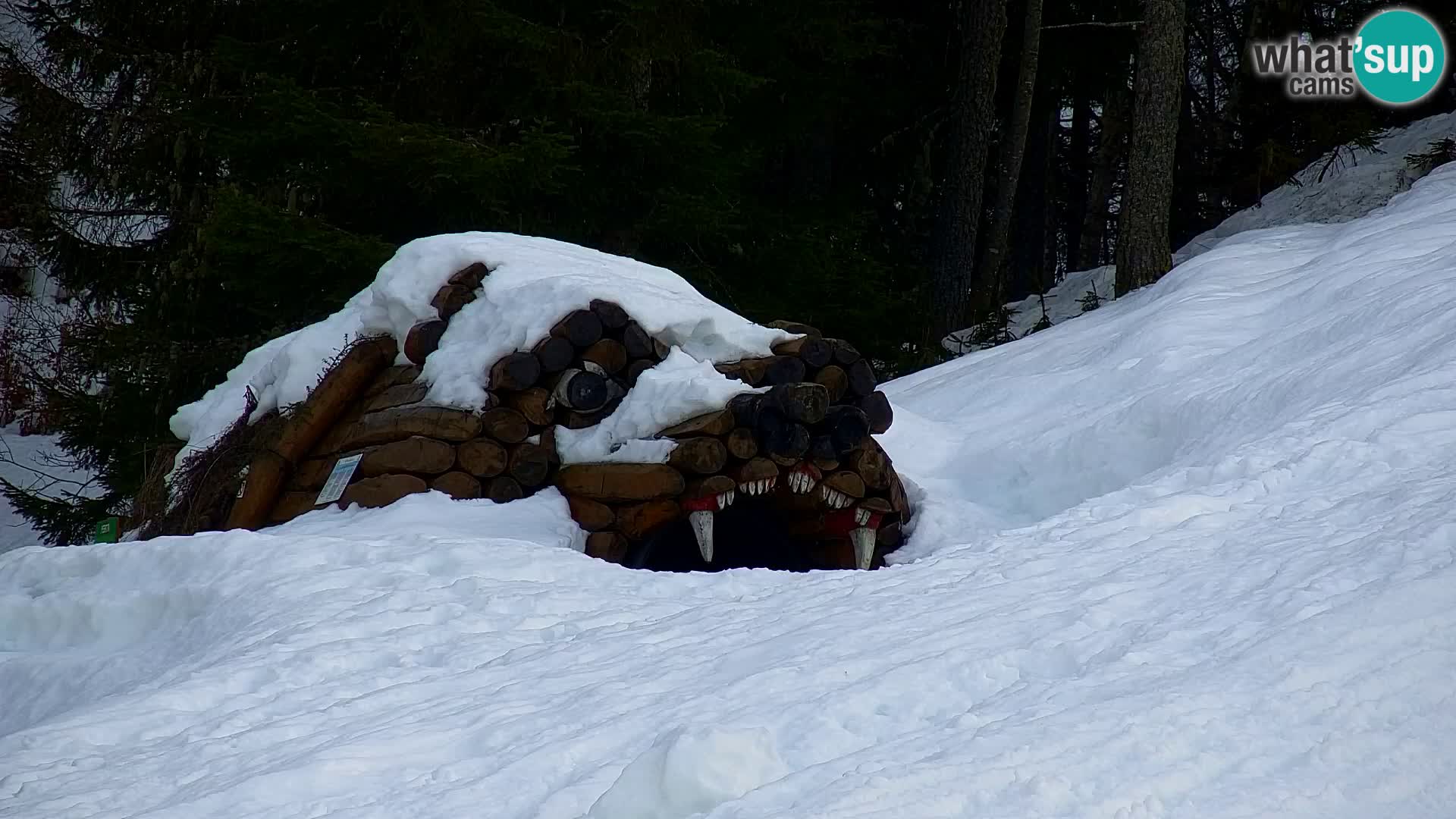 Kranjska Gora webcam VITRANC 1 | obere Station