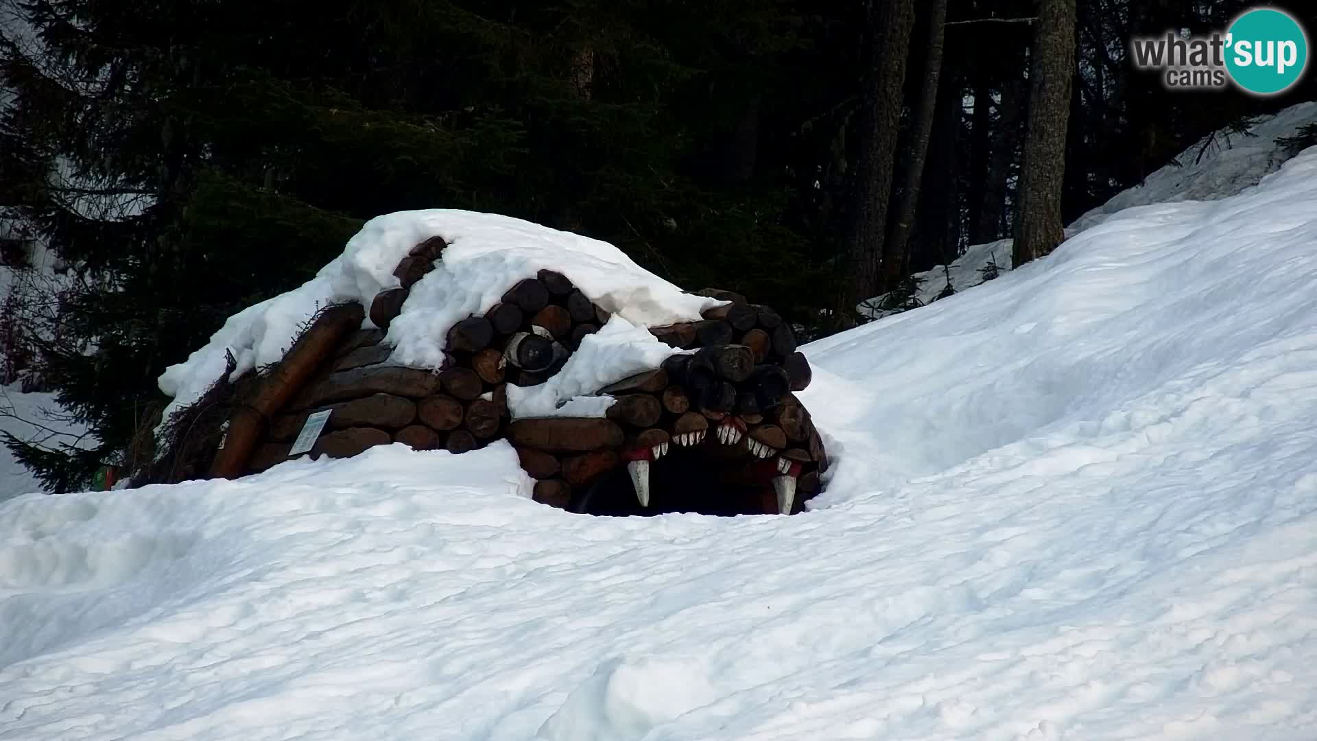 Estación de esquí Kranjska Gora | Estación superior VITRANC 1