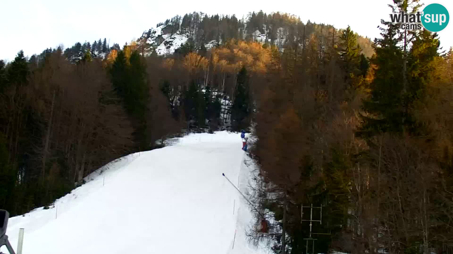 Kranjska Gora webcam VITRANC 1 | obere Station