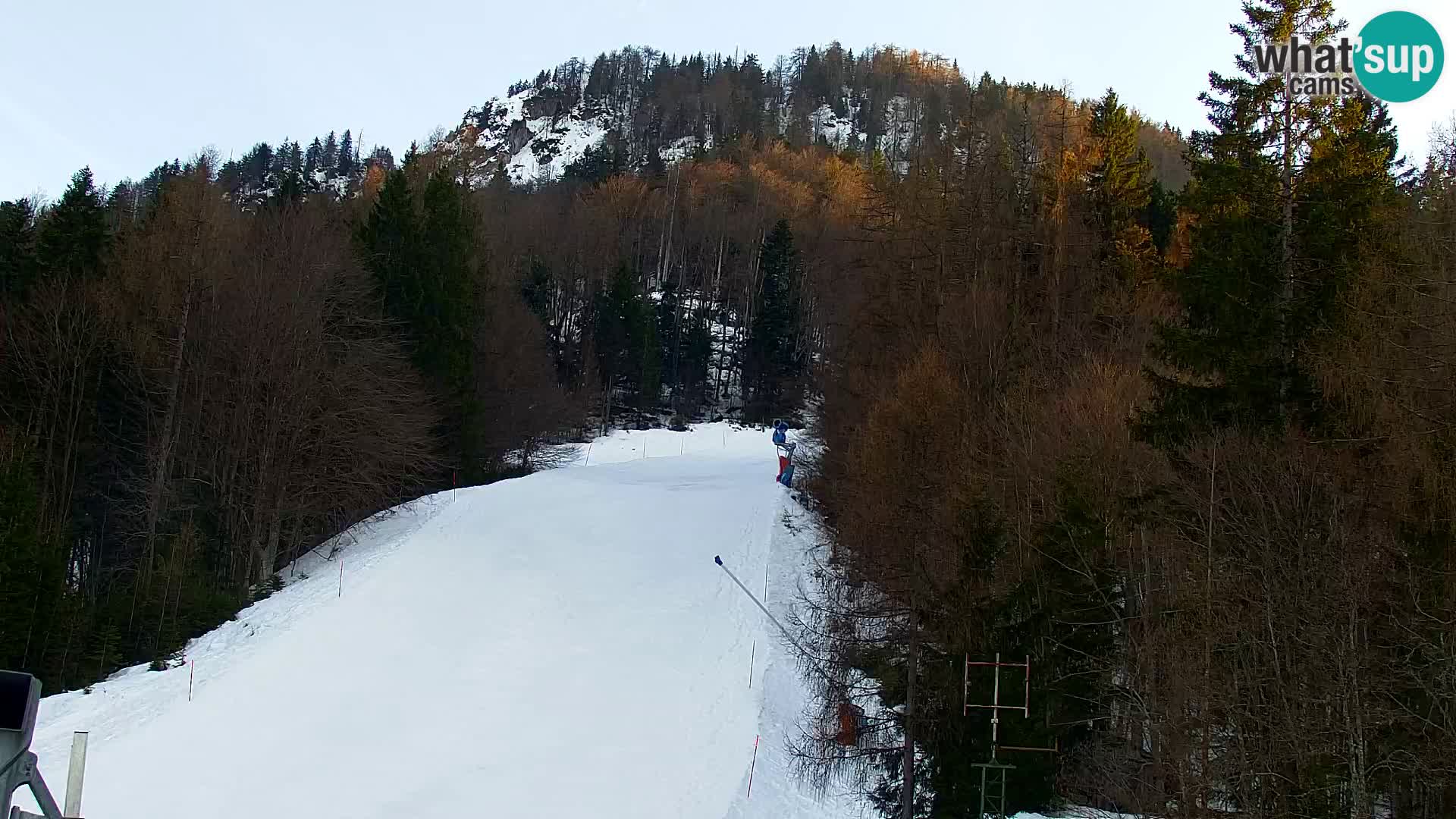 Kranjska Gora web kamera Vitranc | VITRANC 1 gornja postaja