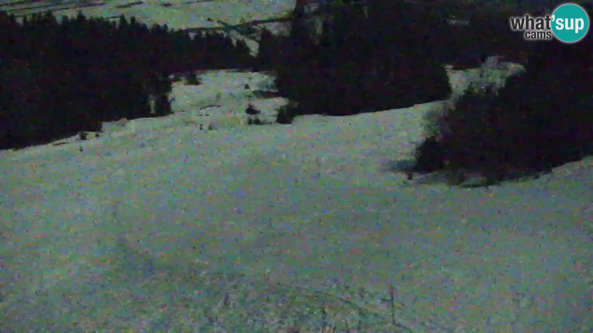 Vitranc Kranjska Gora webcam | VITRANC 1 stazione superiore