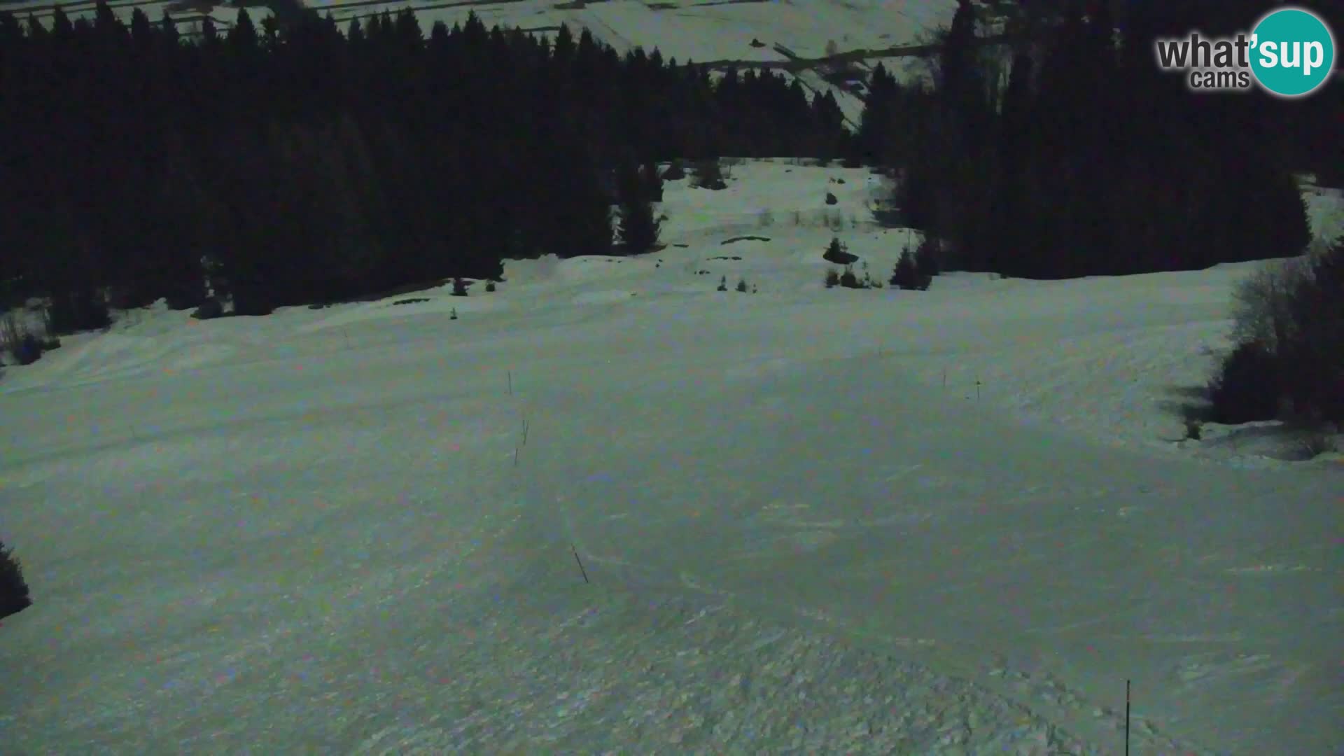 Vitranc Kranjska Gora webcam | VITRANC 1 stazione superiore