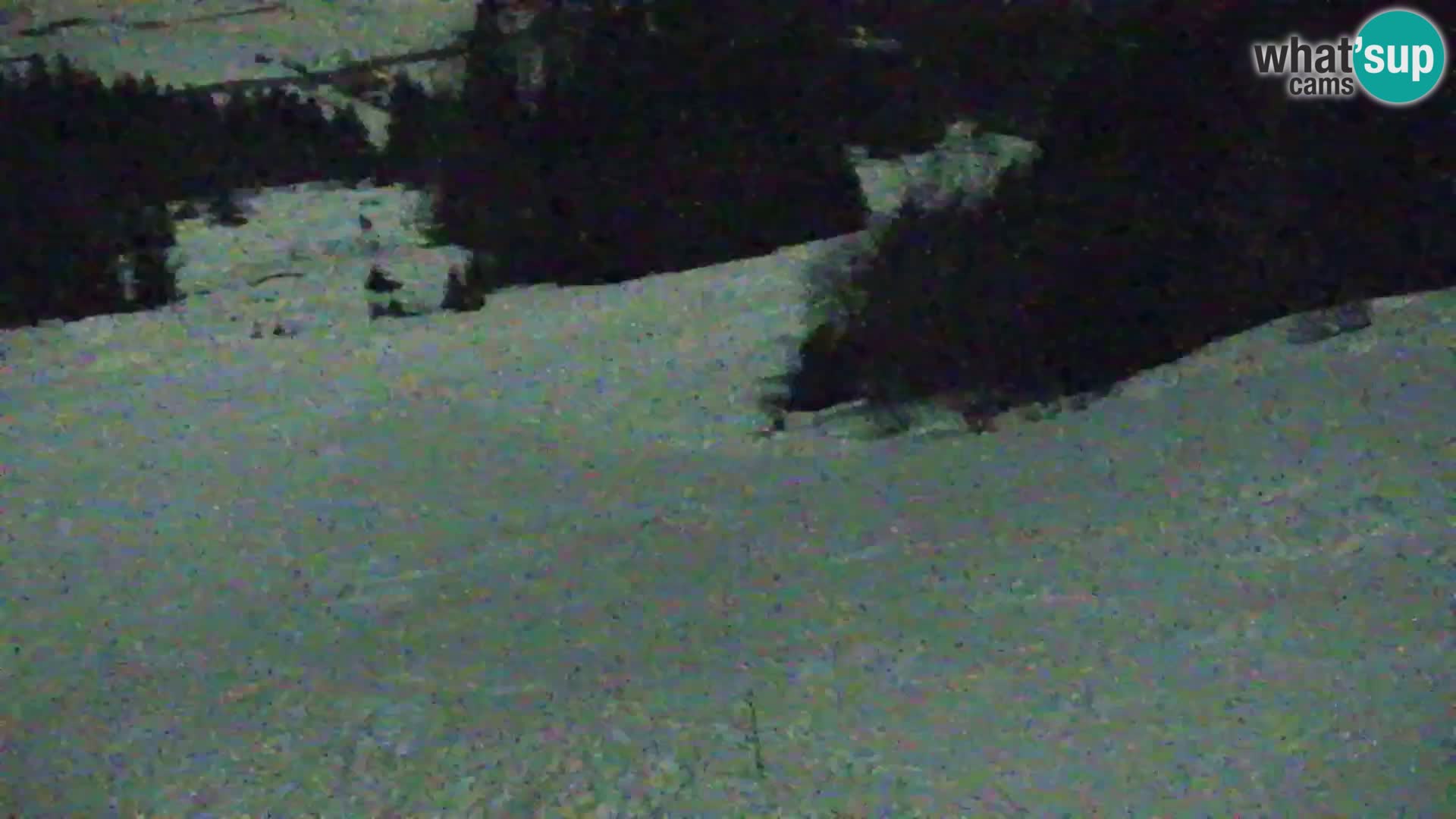 Vitranc Kranjska Gora webcam | VITRANC 1 stazione superiore