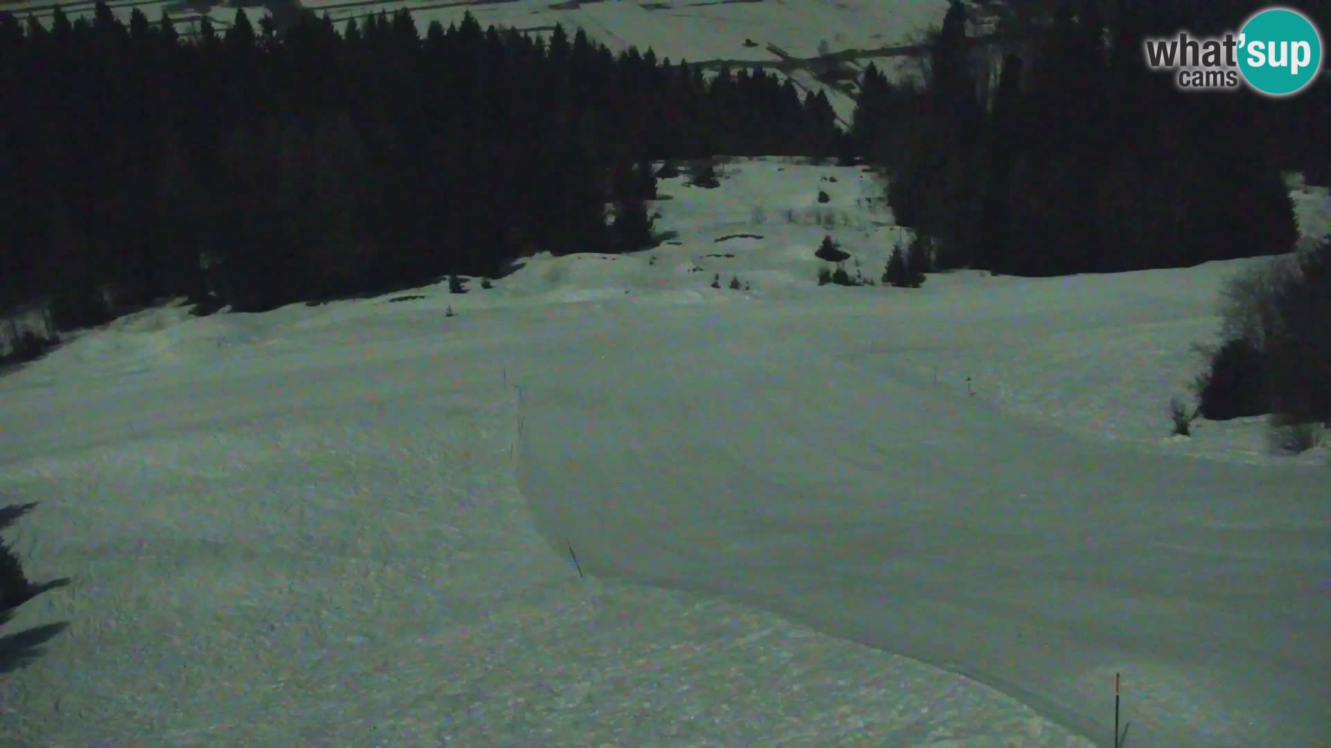 Vitranc Kranjska Gora webcam | VITRANC 1 stazione superiore