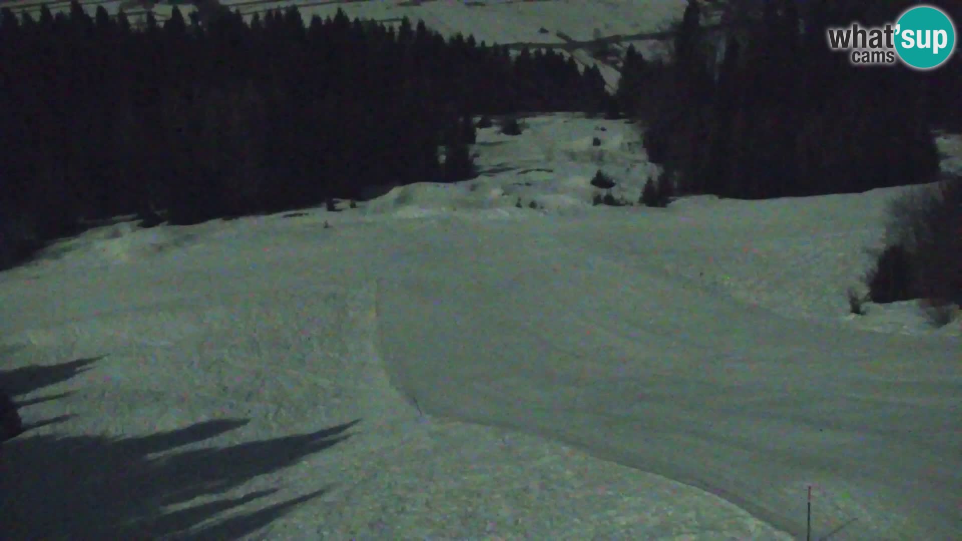 Vitranc Kranjska Gora webcam | VITRANC 1 stazione superiore