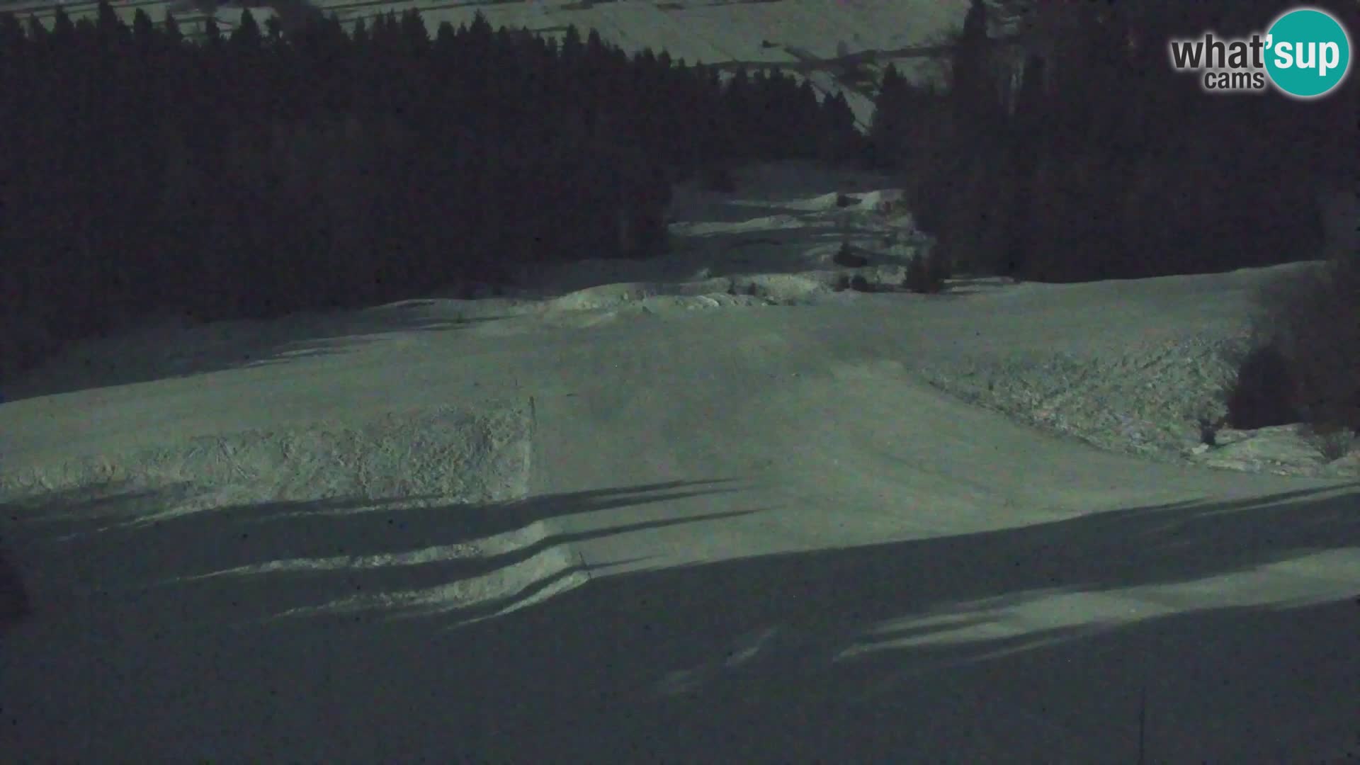 Vitranc Kranjska Gora webcam | VITRANC 1 stazione superiore