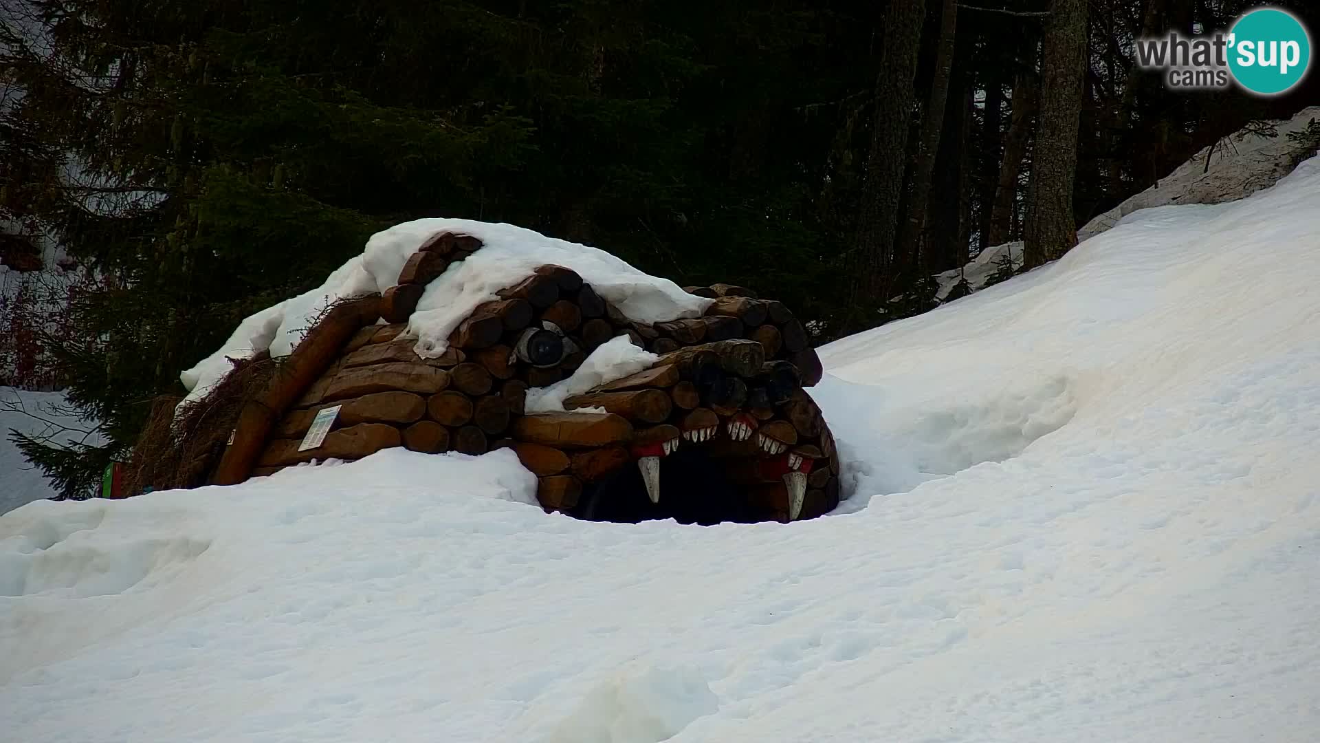 Ski Resort Kranjska Gora | VITRANC 1 upper station