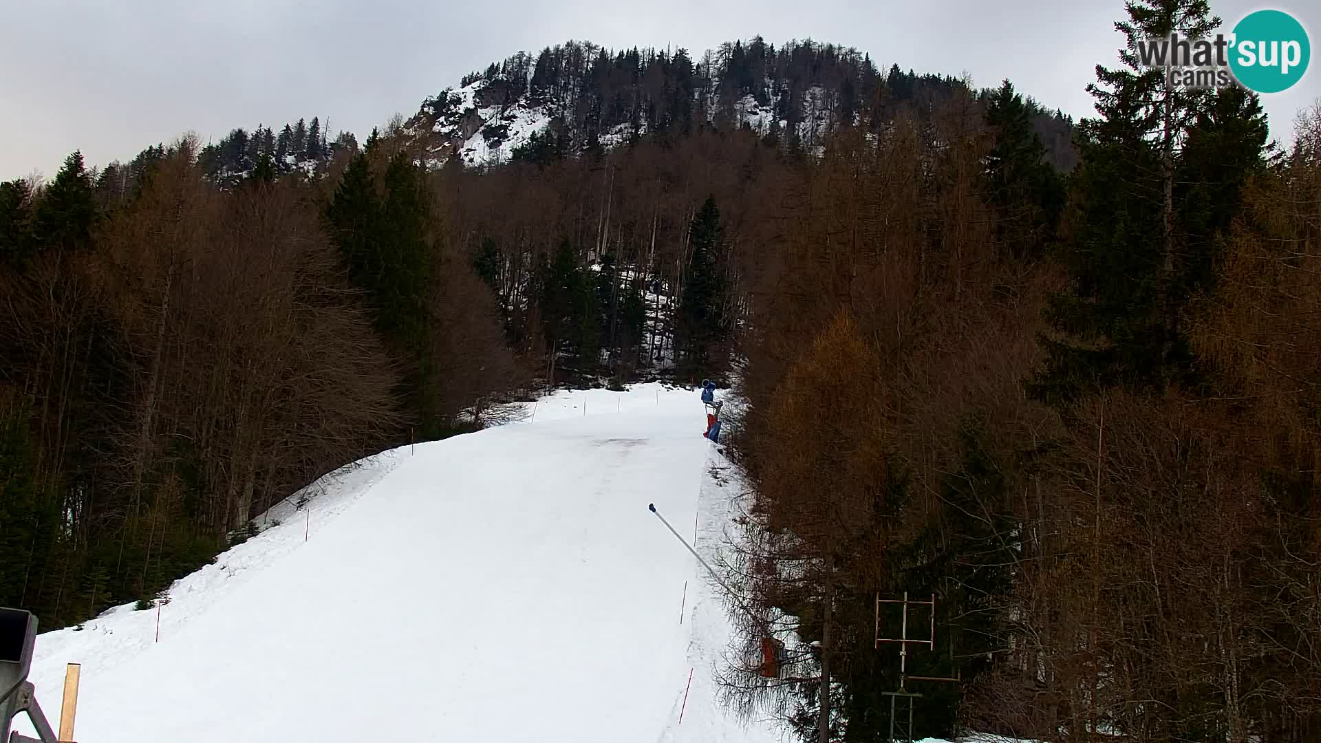 Kranjska Gora kamera VITRANC 1 | Zgornja postaja
