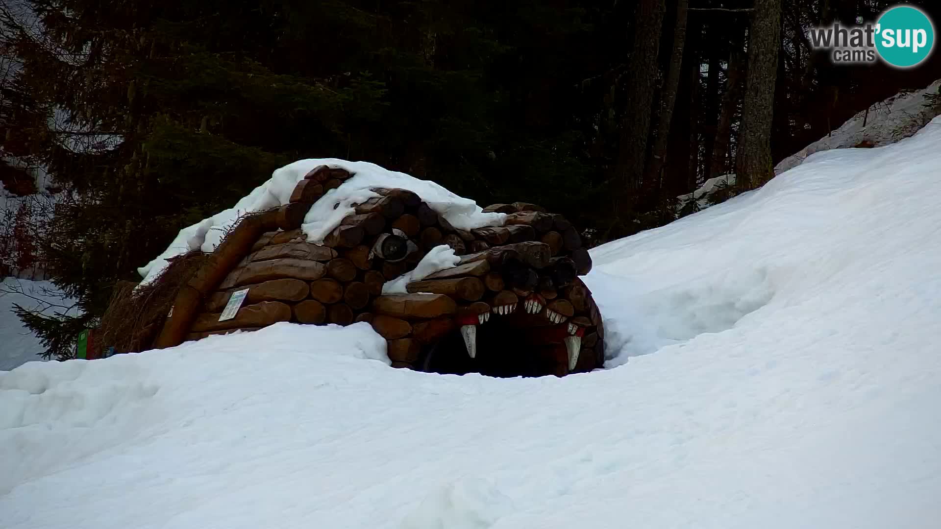 Ski Resort Kranjska Gora | VITRANC 1 upper station
