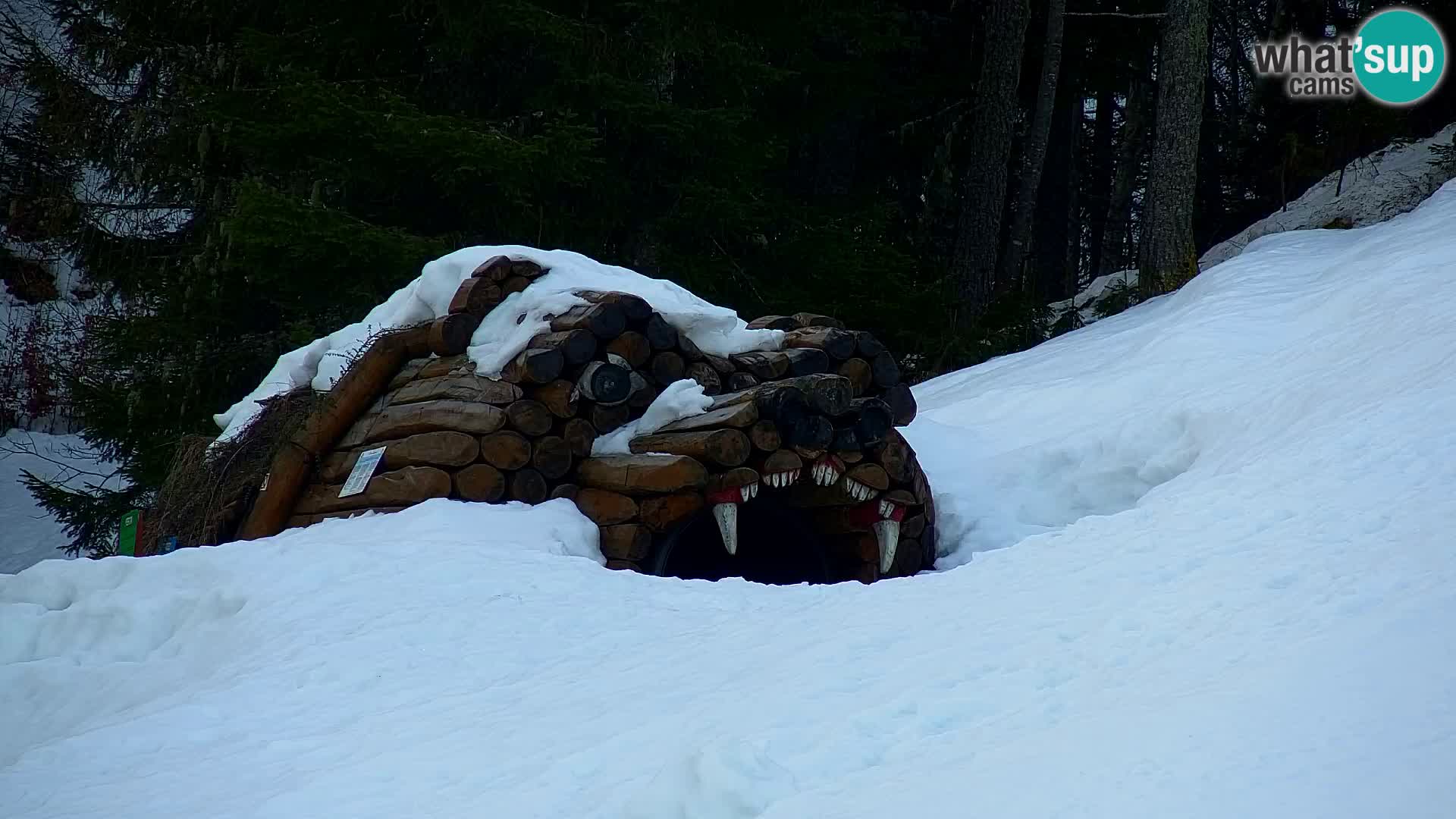 Kranjska Gora kamera VITRANC 1 | Zgornja postaja