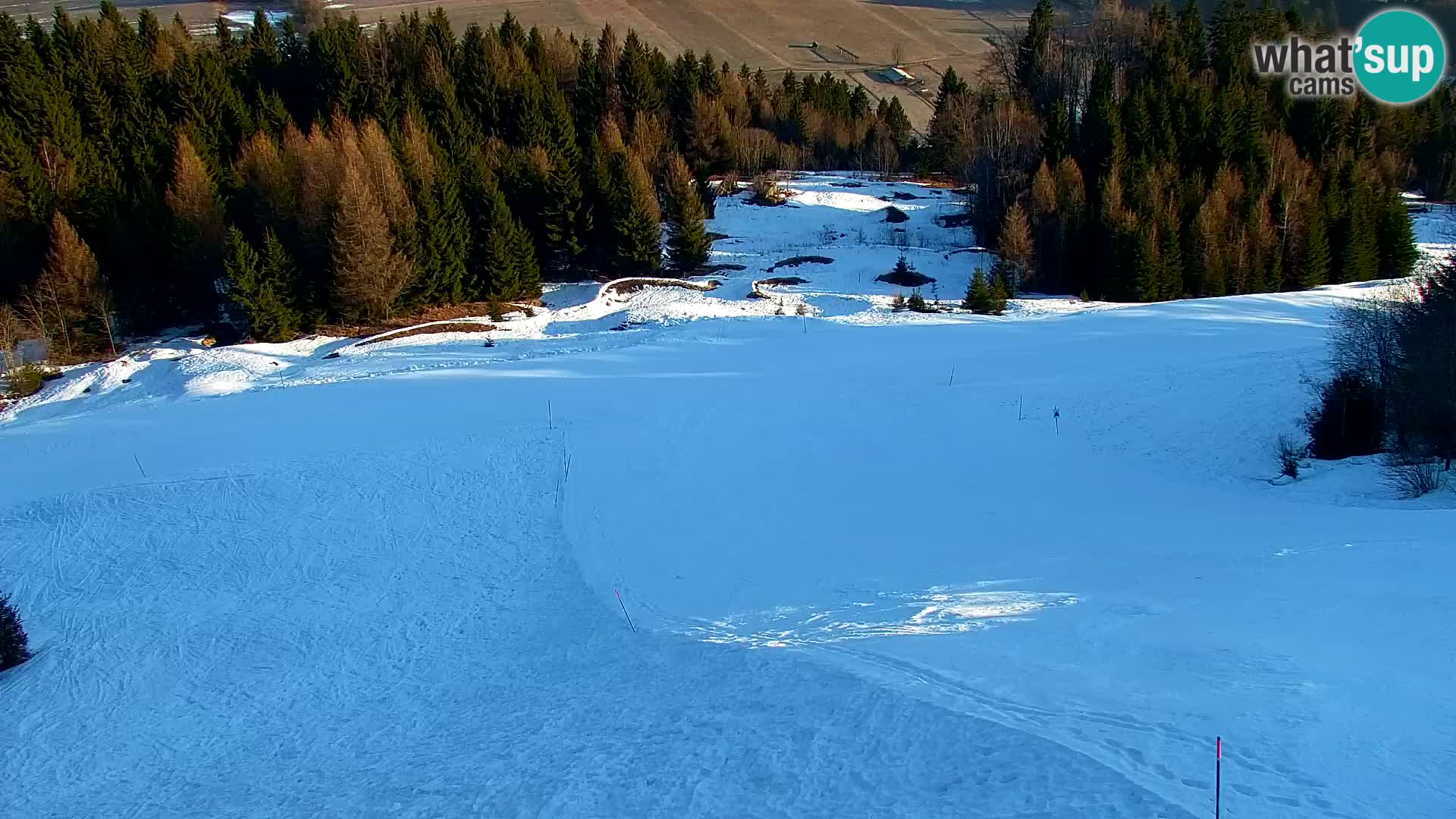 Vitranc Kranjska Gora webcam | VITRANC 1 stazione superiore
