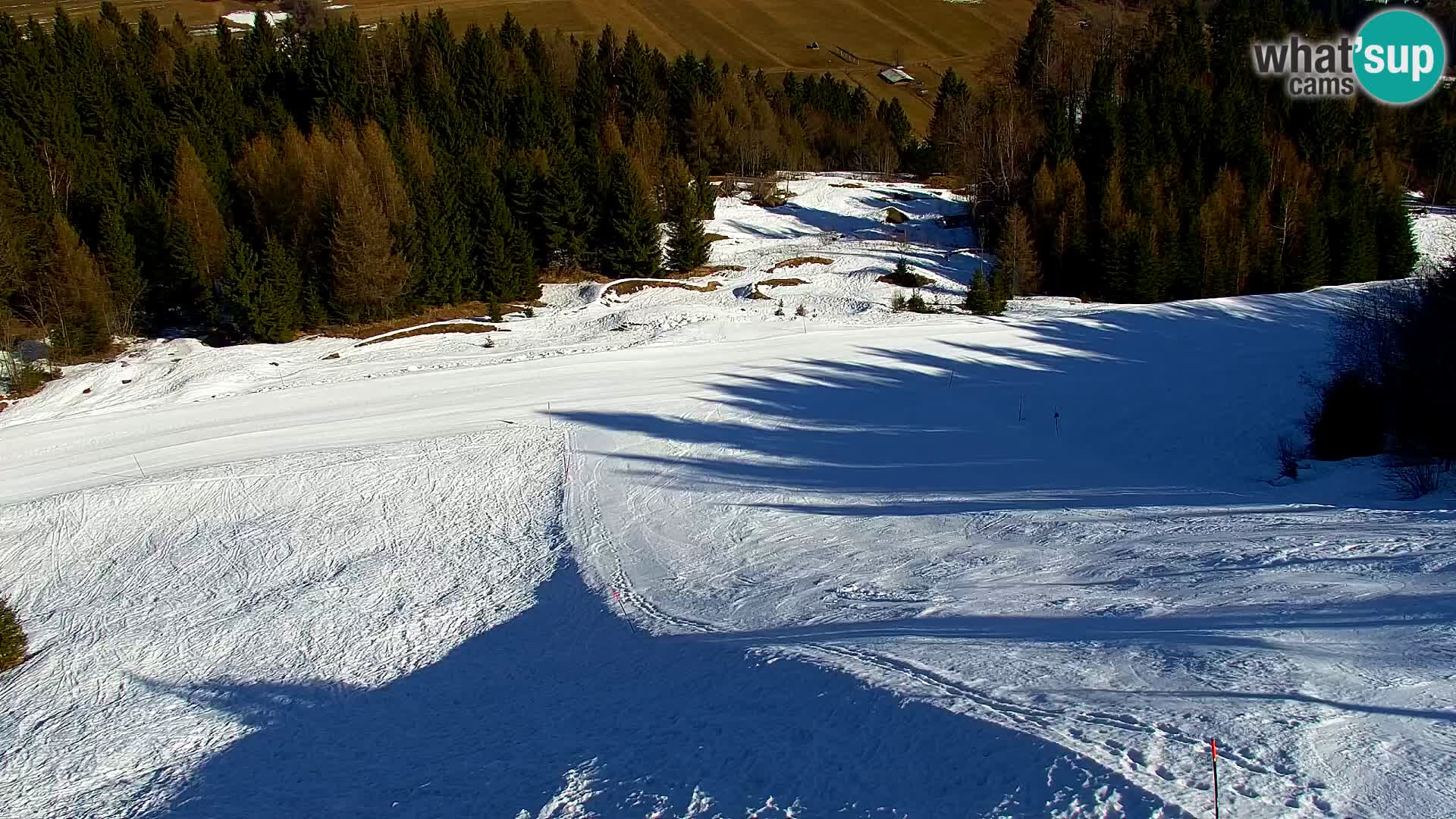 Vitranc Kranjska Gora webcam | VITRANC 1 stazione superiore