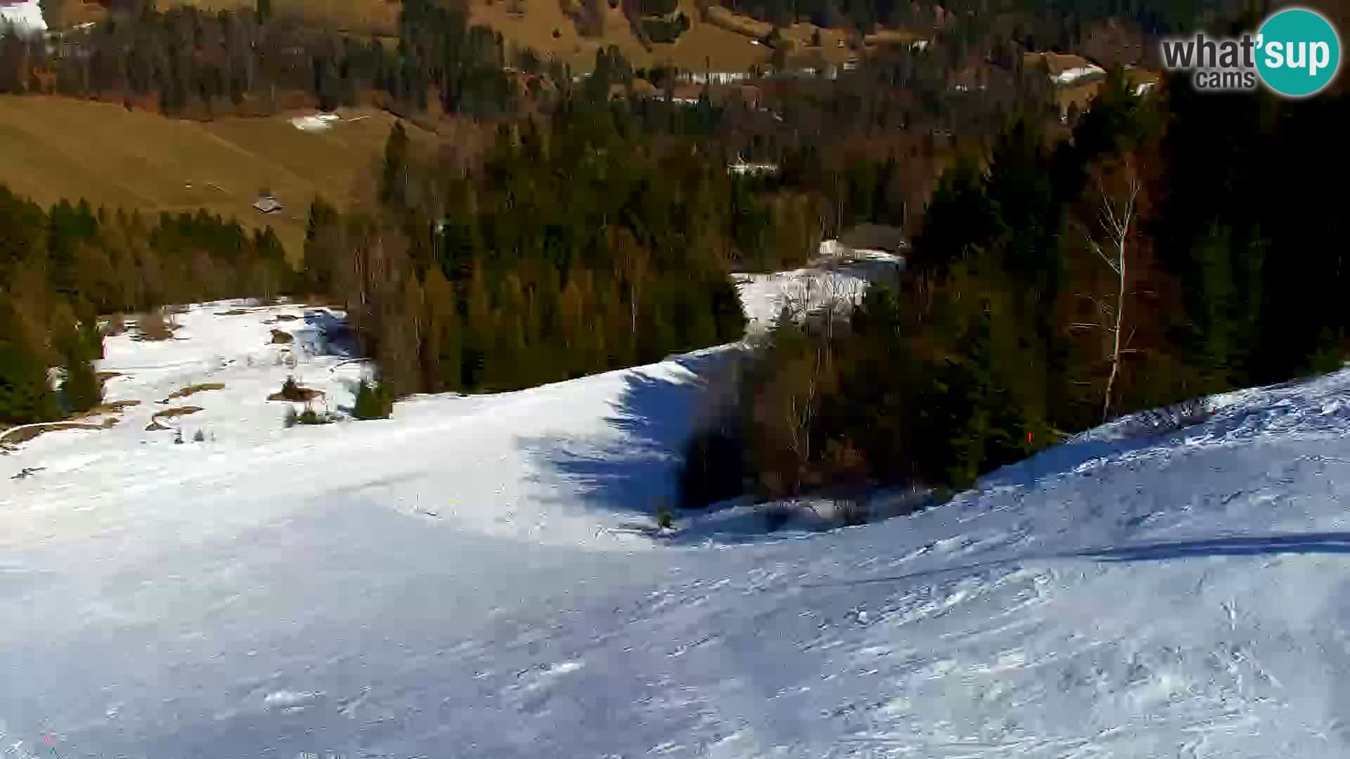 Kranjska Gora livecam VITRANC 1 | estación superior